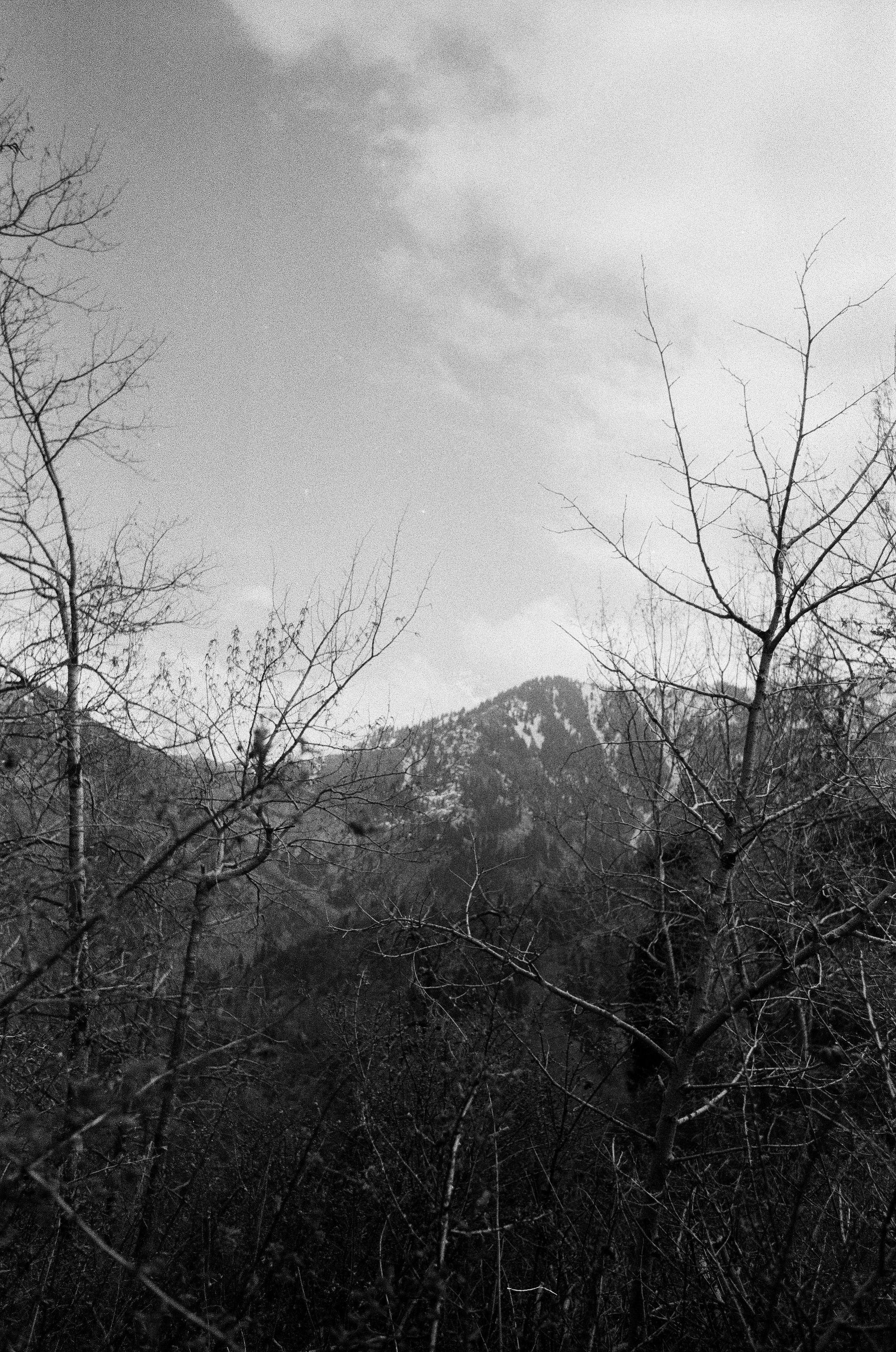 Untitled-29.jpg