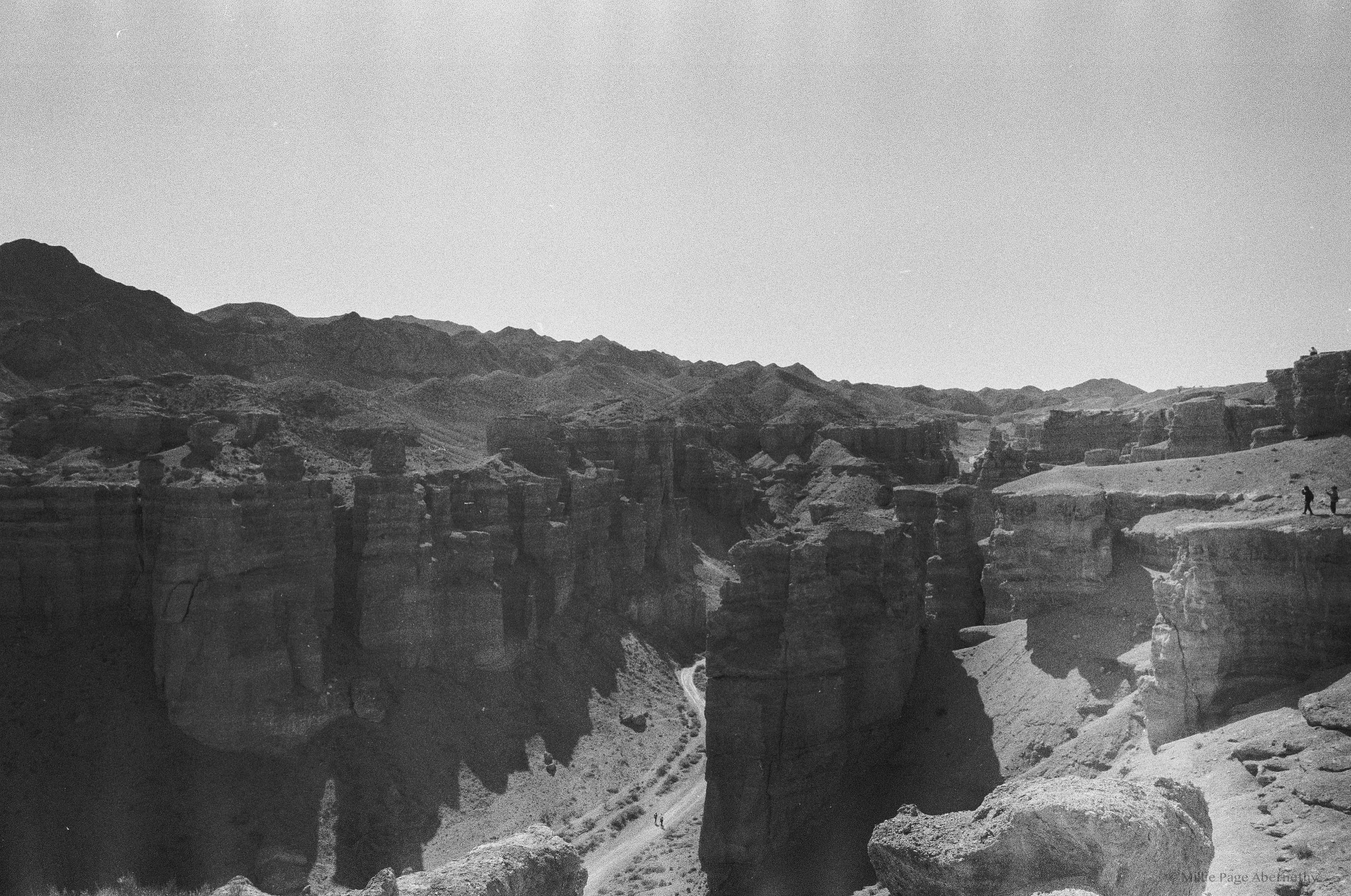 Untitled-24.jpg