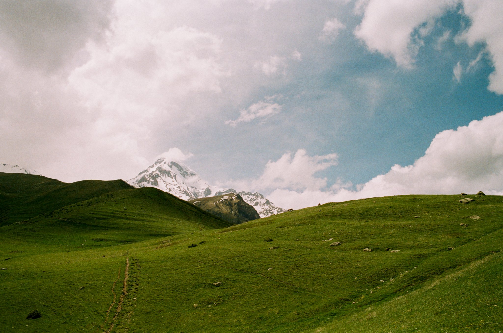 Untitled-96.jpg