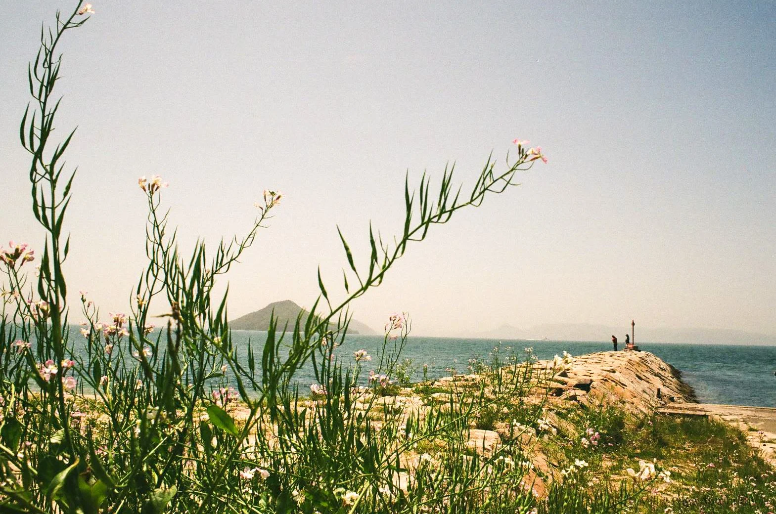 003251850020_preview.jpg
