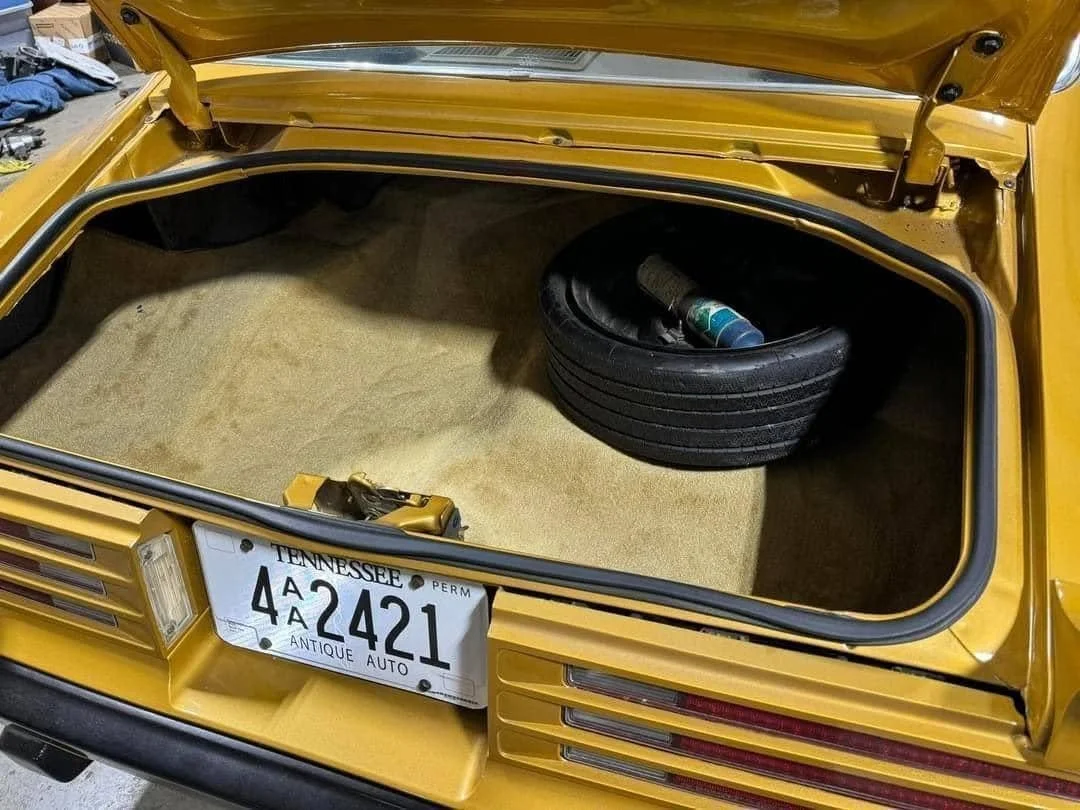 Custom molded trunk carpet 1974-1981 Firebird or Camaro