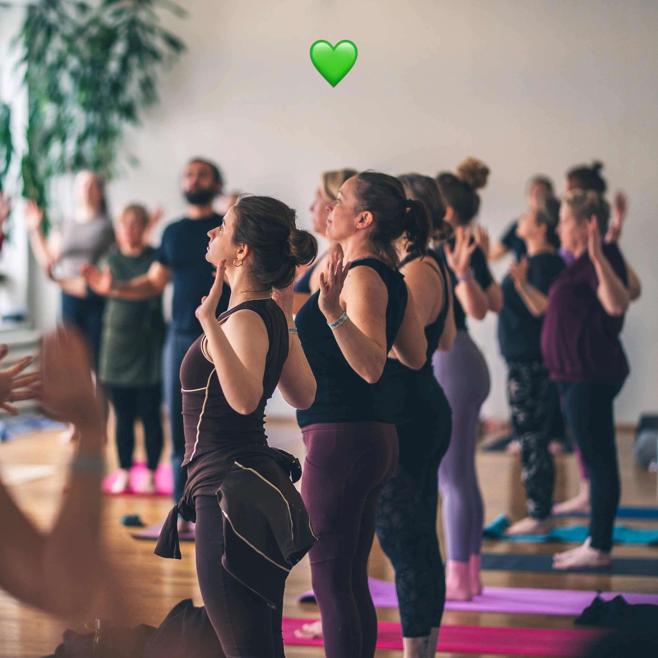 T&auml;n&auml;&auml;n vietet&auml;&auml;n maailman mielenterveysp&auml;iv&auml;&auml; 💚

Moni on huomannut, miten muutama syv&auml; hengenveto ja kehon liike voivat muuttaa koko p&auml;iv&auml;n s&auml;vyn. Jooga hoivaa niin kehoa kuin mielt&auml;.
