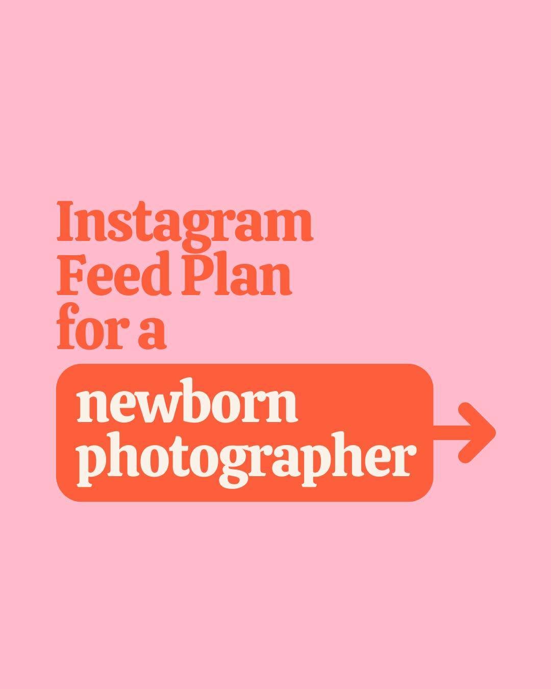 📸 👶 This was fun!

I've always thought that if I didn't do what I do, then I would love to have been a Newborn Photographer.

So here's what my feed might look like if I was.

Ultimately a photographer's IG feed is their portfolio, so it needs to l