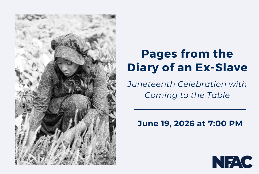 Jo-Ann Wilson’s Pages from the Diary of an Ex-Slave