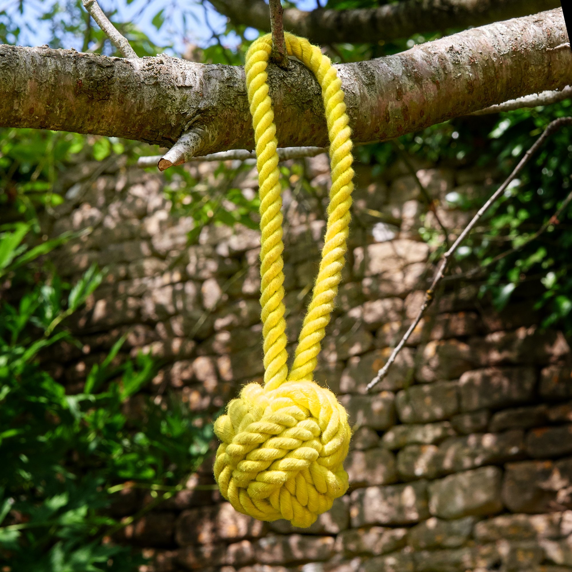 Rope Ball in tree EDIT.jpg