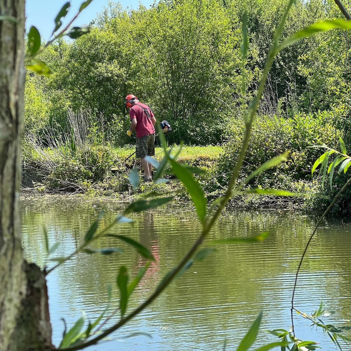 Getting the water training facilities ready. Thank you @sharkoftheinsectworld for helping with the brush cutting #retrievertraining #gundogtraining #waterretrieve #retriever #labrador #gundogs #townandcountrydogtraining #accreditedpetgundoginstructor