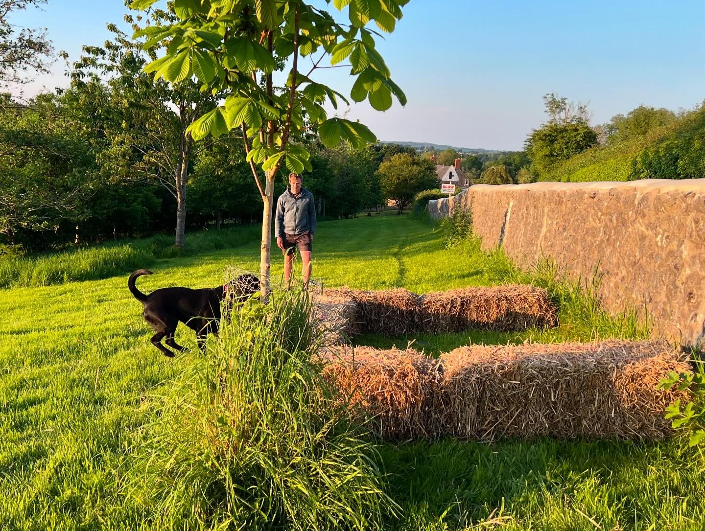 Making use of our bales creating a boundary for a seen retrieve up a rise. On the first attempt the dogs were rather surprised but confidence increased and at the end everyone did well. Our lesson was rewarded with a stunning sunset to finish #gundog