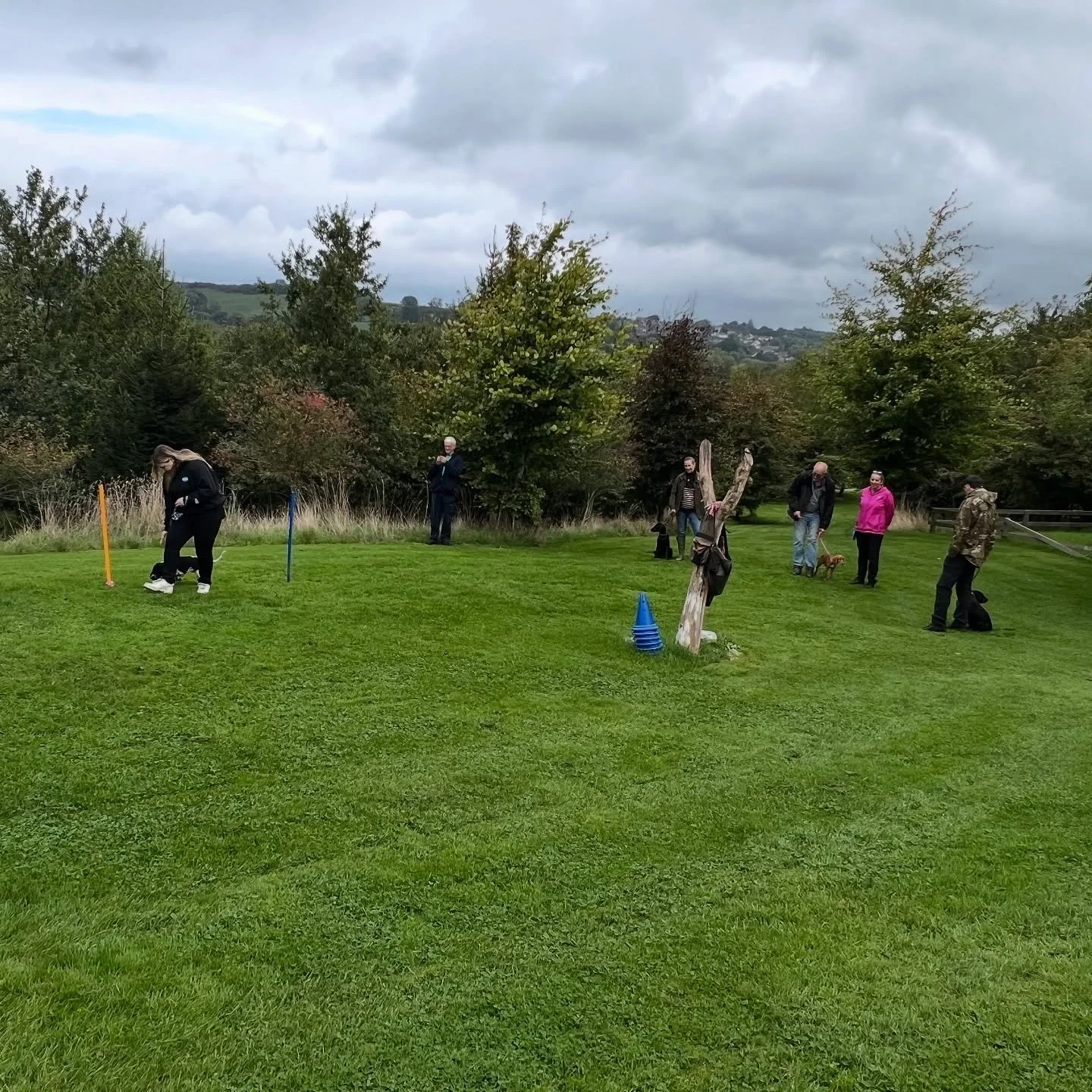 Lesson 5 for these puppies and what a difference. Slowly we see more manners than mayhem. Walk and call was the topic today. We have introduced holding an item while walking, turn and delivery it. All coming on nicely. Now adolescence is knocking on 