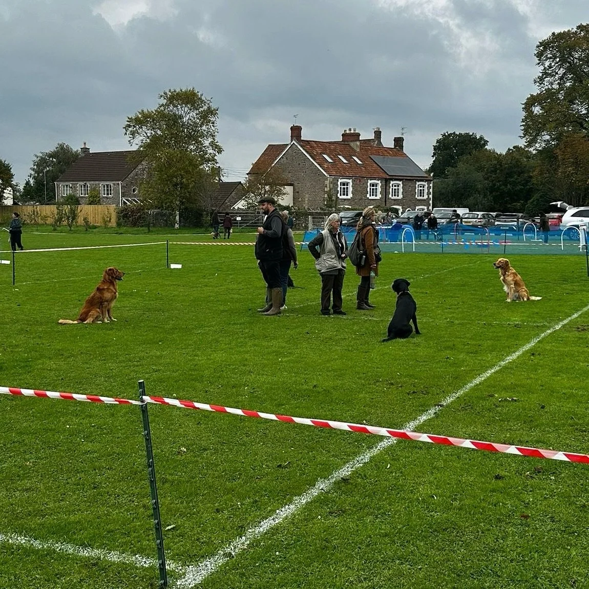 Thank you @jeanne.burnett2018 and @pete.gilbert.948 for coming along to the Holcombe Dog Show today and helping with our Gundog Display. Very proud of everyone and all dogs to perform the tasks in an extreme distracting environment. Thank you @tillaa