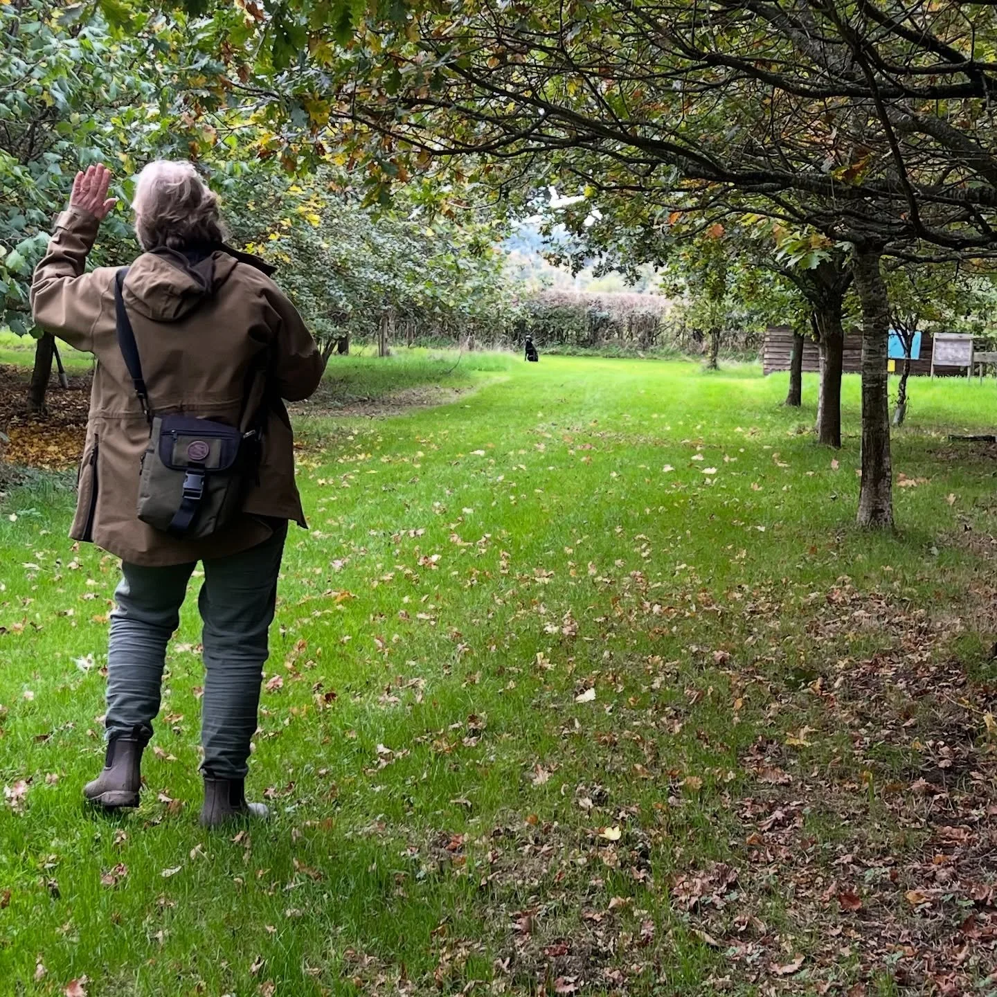 We had a great lesson this afternoon with a group of advanced handlers. Still plenty of challenges left to resolve like stop-hunt-redirect-stop-hunt. The subsequent handling of a dog really requires the full attention of both handlers and dogs. Some 