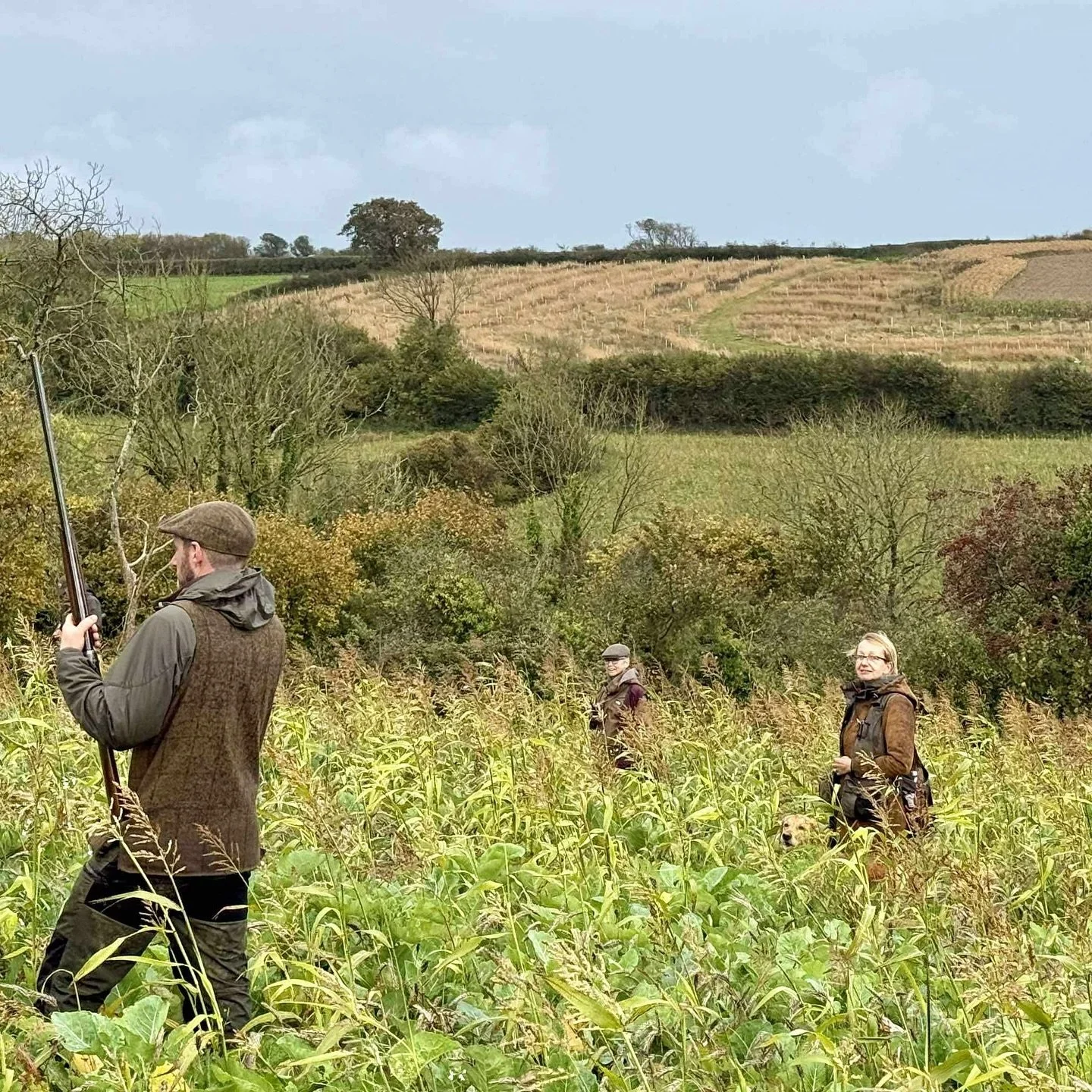 A lovely day of training my own dog in the field. Hours of walking at heel in thick and tall cover, often higher than the dog. Marking birds, remaining steady to shot and falling game. Honouring other dogs retrieves even if they pick a bird just feet