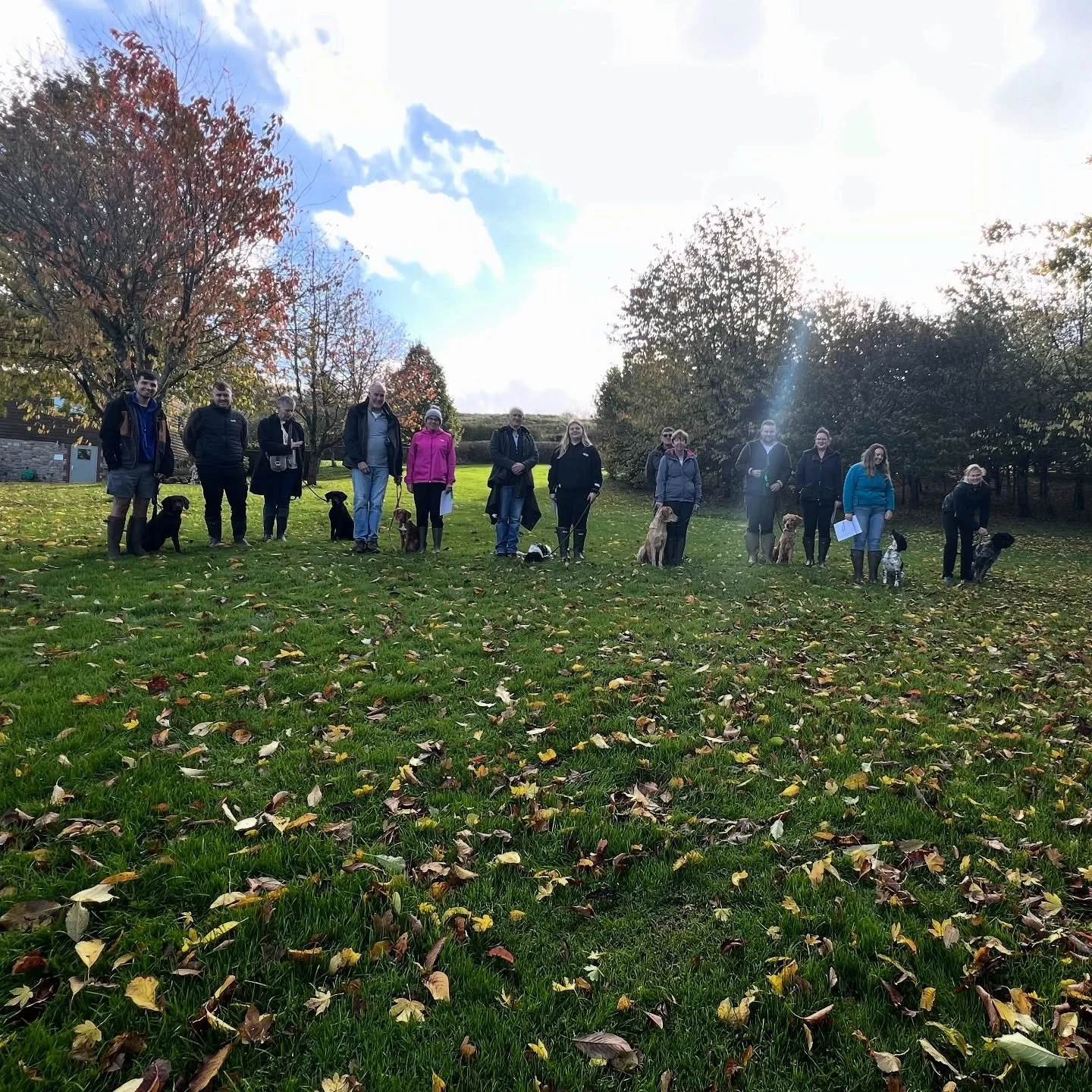 Seriously proud of this group who just finished their Manners not Mayhem puppy course. Nearly three months into their training these young dogs show that a dedicated, focused exercise approach really pays off. Now on to four junior lessons where we w