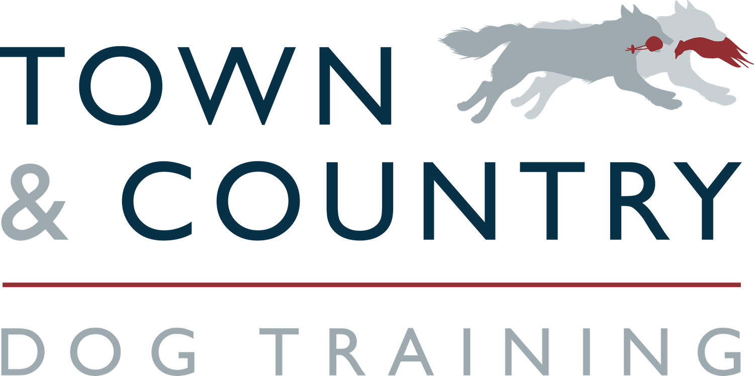 Town and Country Dog Training