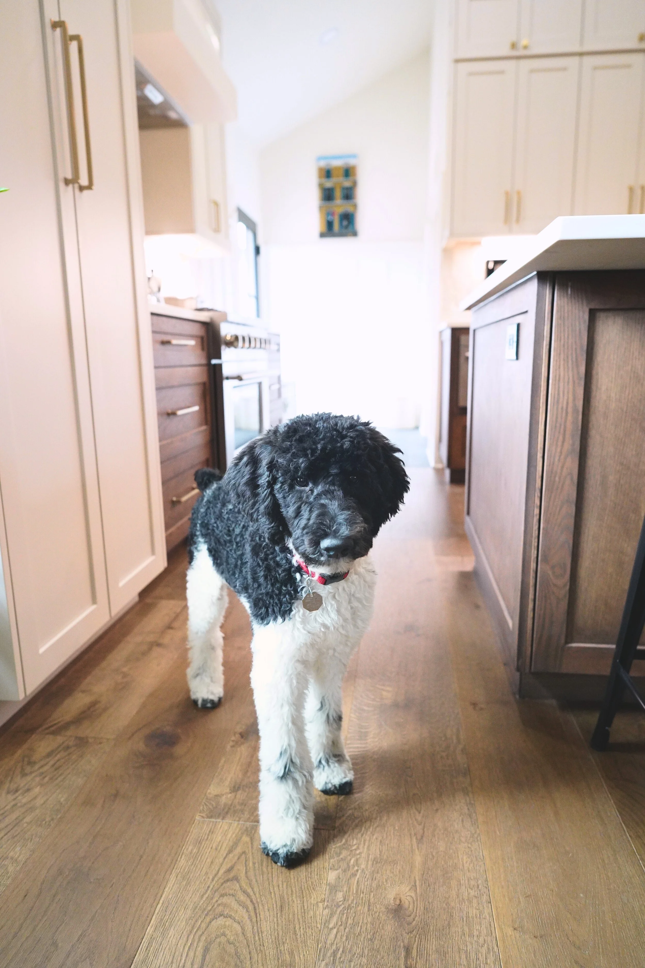 DSC06469 - Edited.jpg