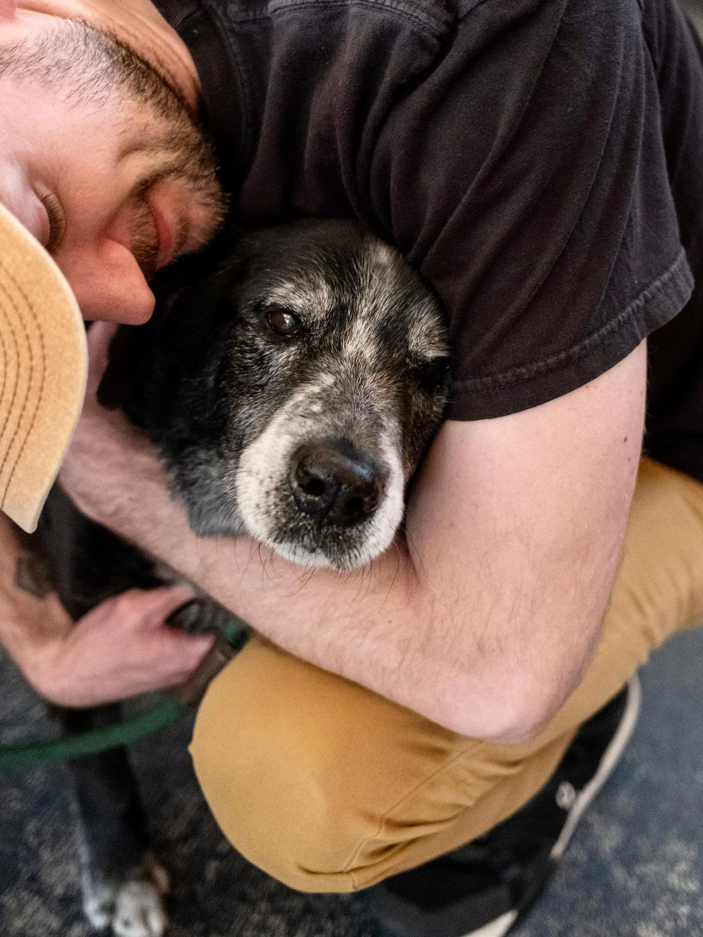 Yesterday we said goodbye to our best friend. Our handsome boy, Bowie. Many of our regulars and new customers have met Bo and we thank you for being so kind to him. He was a sweet, old soul and will be missed dearly.
I hope he&rsquo;s on his favorite