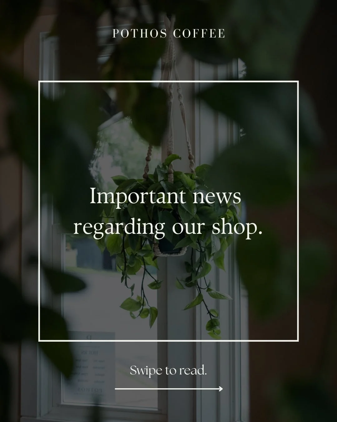 PLEASE READ! 

We are so grateful for the many wonderful people we have met on this journey and we hope to see you in the next month or so before we close our sweet little shop. 

A HUGE thank you to our coffee roasters @conductorcoffee and @glasstow