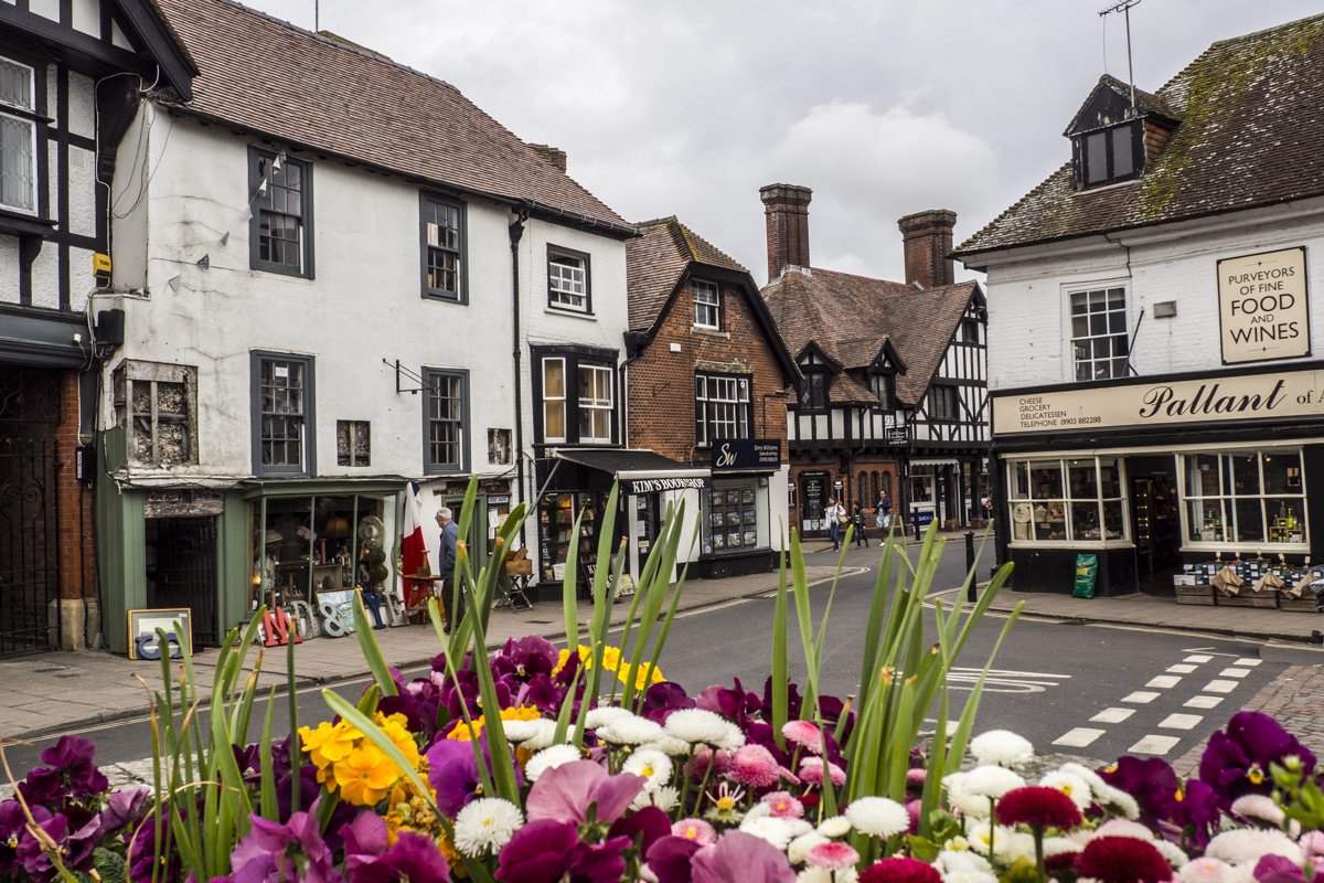A picturesque view of Arundel High street with half-timbered buildings and shops, including a bookstore and a food and wine purveyor. A variety of colourful flowers are in the foreground, and people are walking along the pavement.