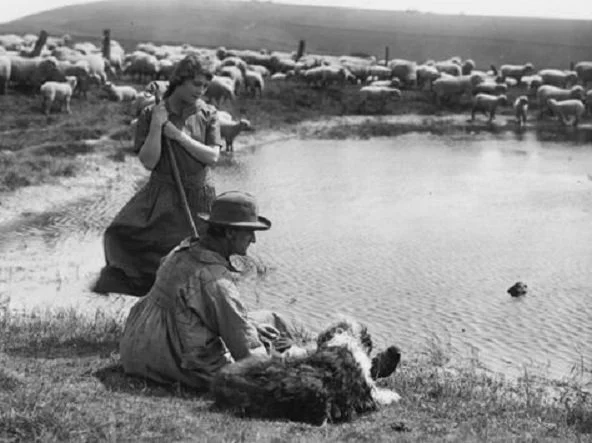 A shepherd and a woman near a pond with sheepdog and flock of sheep.