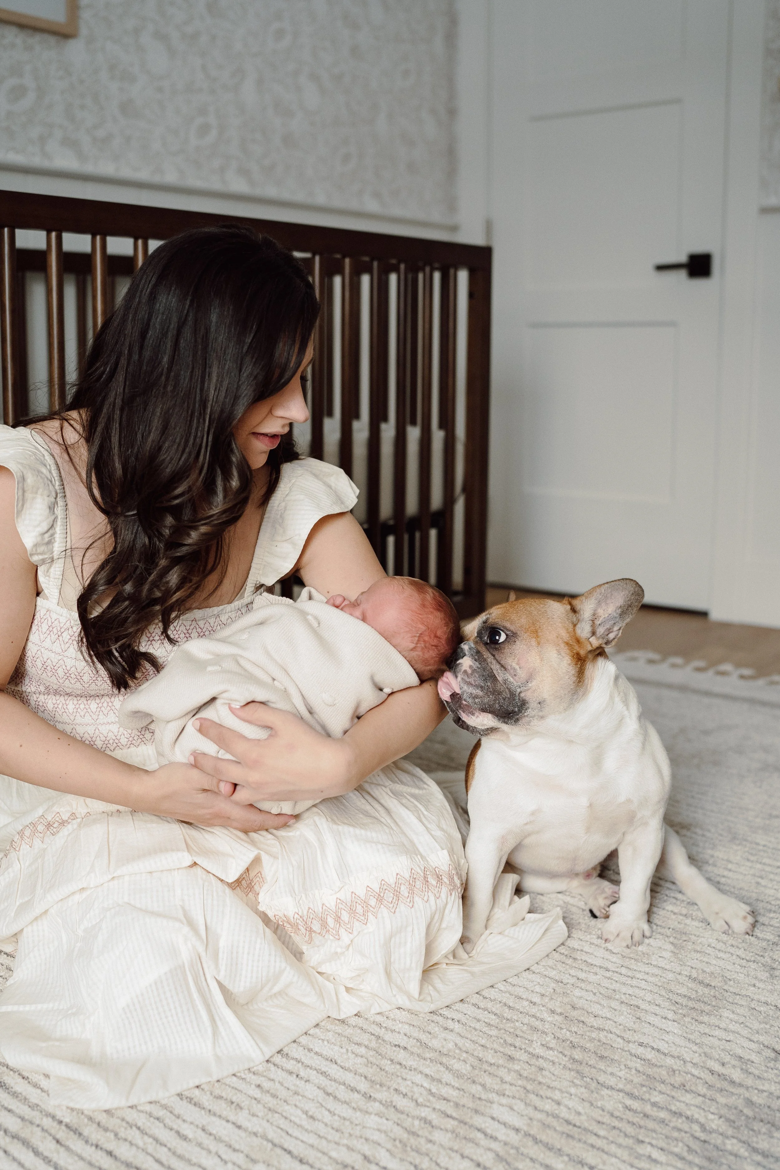 in home newborn photogtraphy in cambrige, ontario 