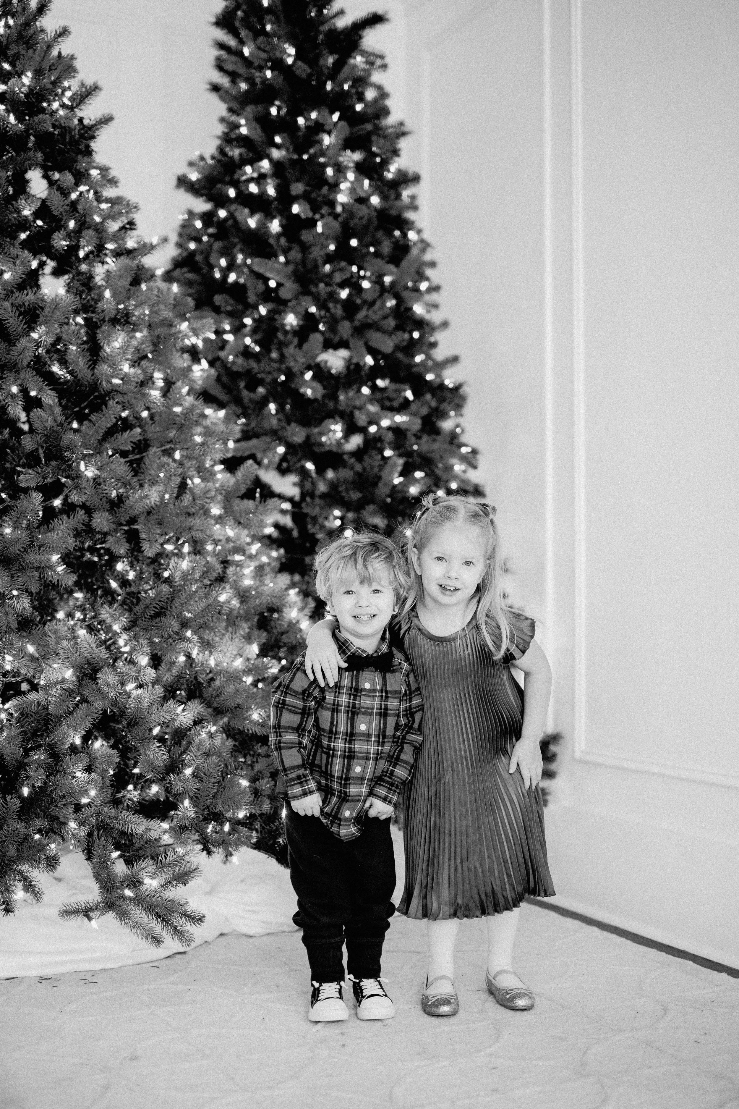 Chirstmas Minis In Cambridge, Ontario