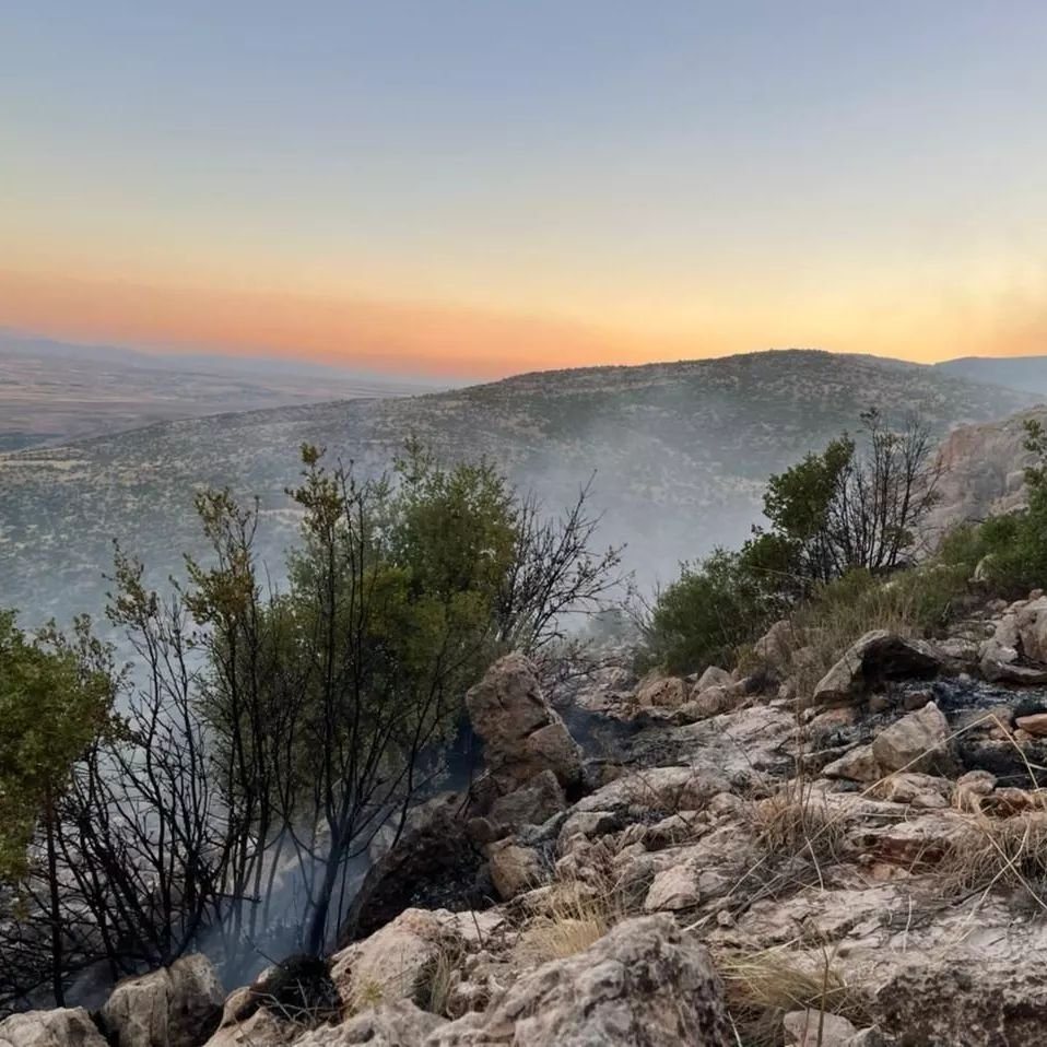 Wildfire landscape North Bekaa