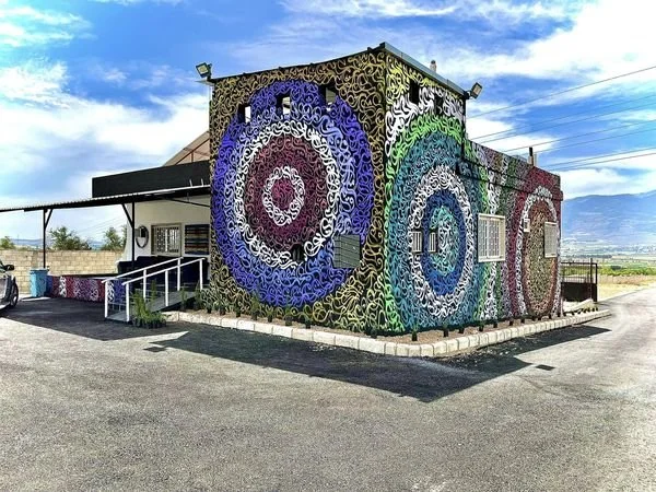 Colorful building with large spiral patterns painted on the exterior walls in multiple colors including purple, blue, green, red, and black in a semi-urban area with mountains in the background.
