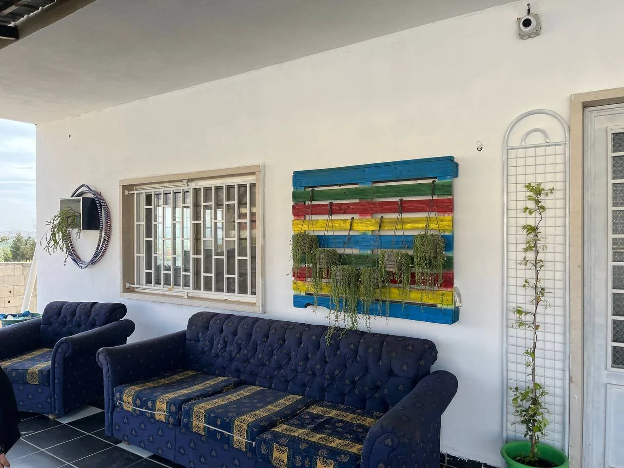 Outdoor patio area with dark blue tufted sofas, a colorful pallet wall with hanging plants, a window with metal bars, a decorative mirror, and a vertical plant trellis with a potted plant.