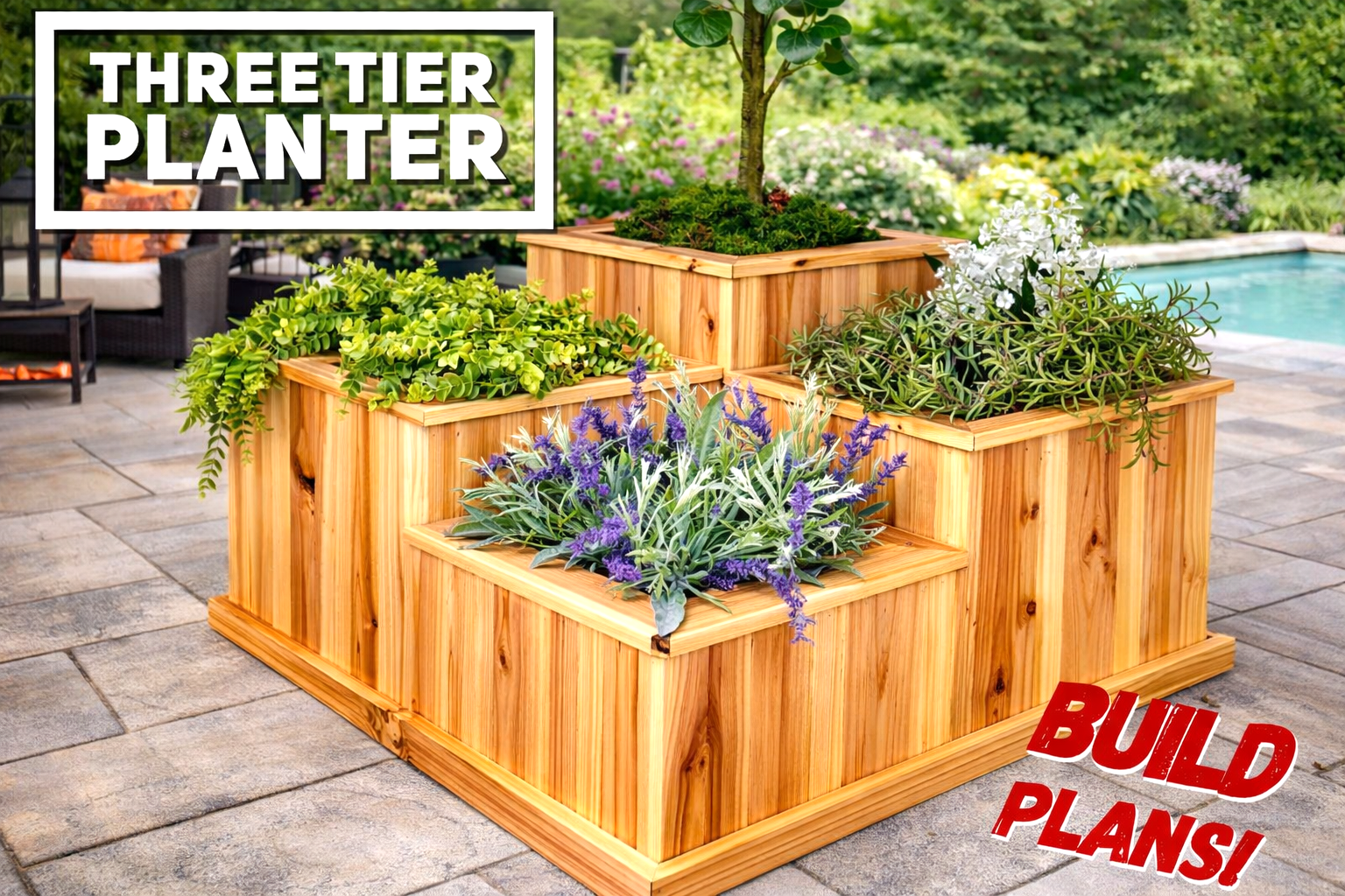 ChatGPT Image Jan 28, 2026, 09_15_32 AM.png