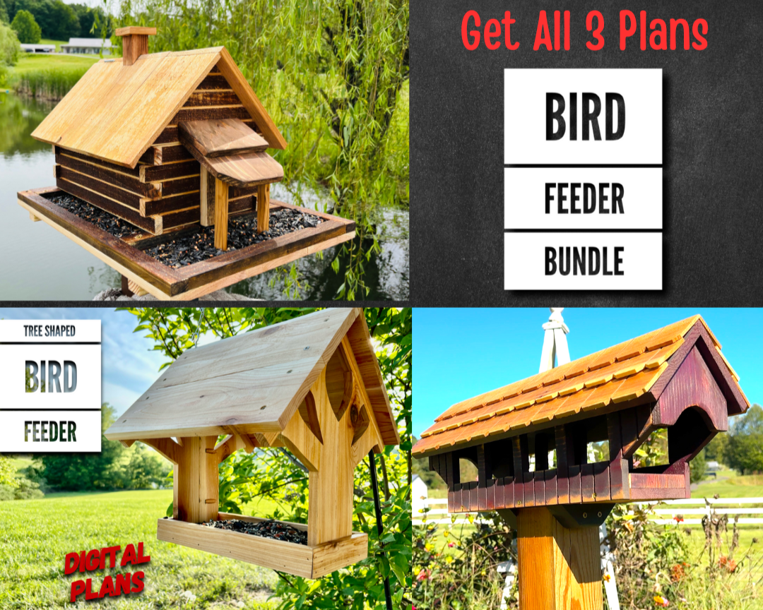 Bird+Feeder+Bundle.png