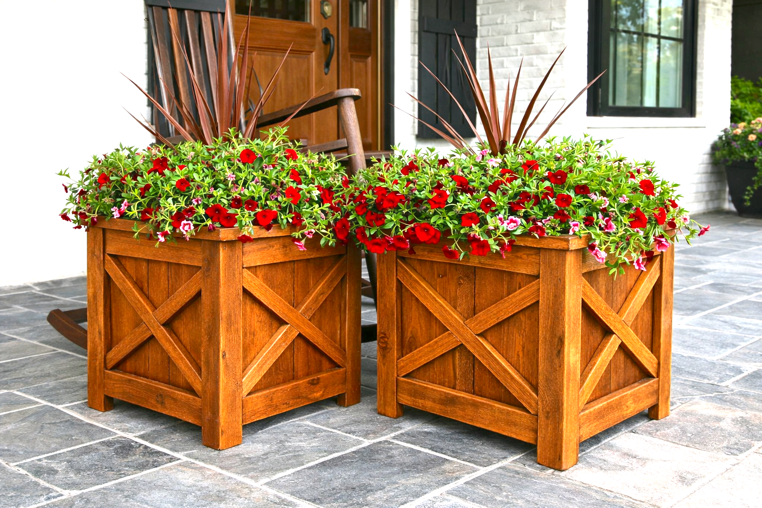 ChatGPT Image Jan 31, 2026, 12_51_16 PM.png