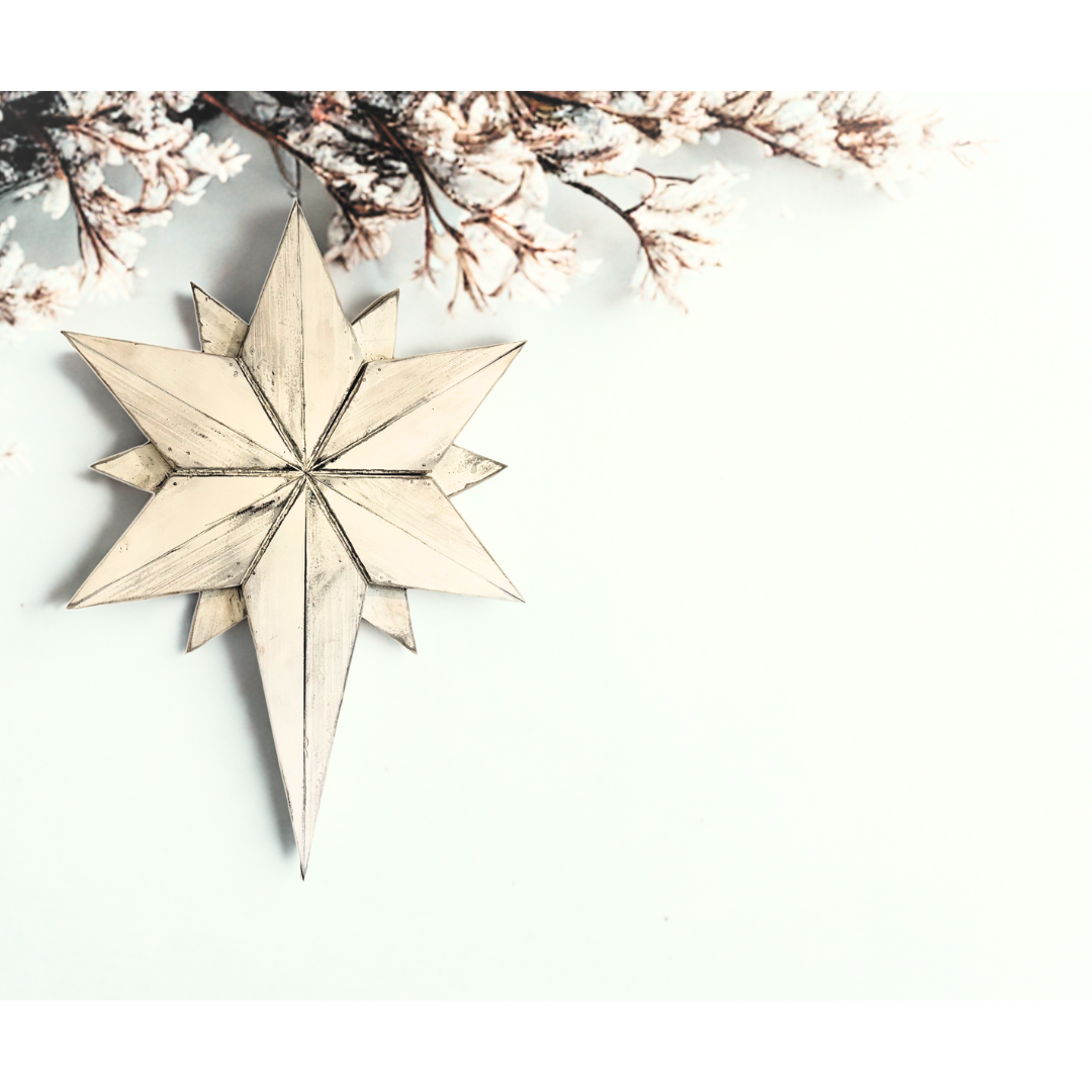 Bird Feeder Bundle (1) copy 2.png