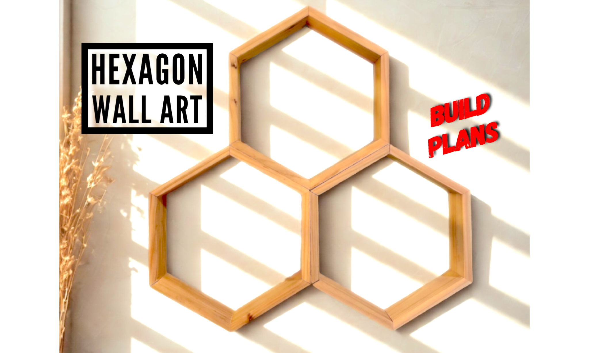 1 Picket Hexagon Shelf Plan