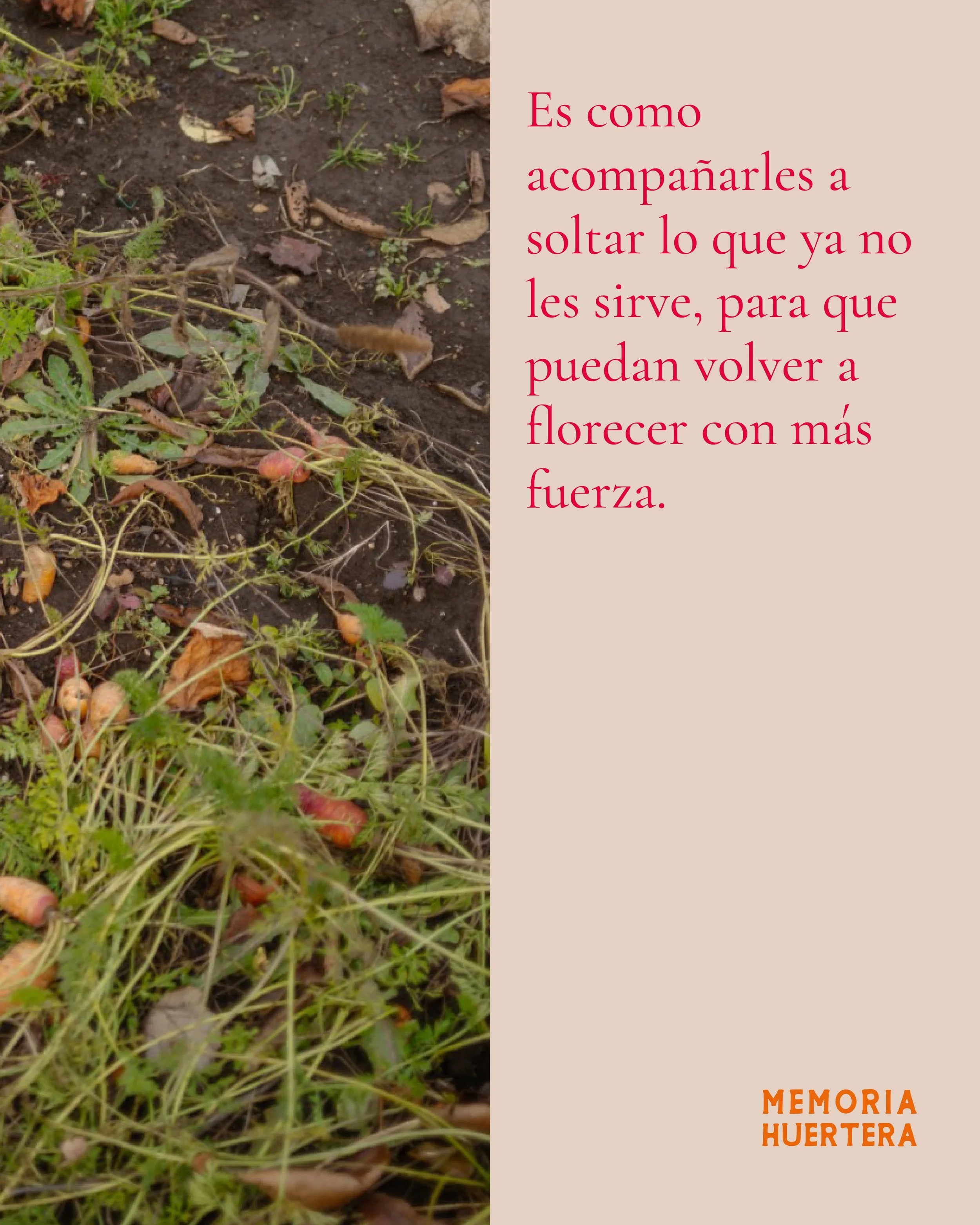 MH-GRAFICA-poda4.jpeg