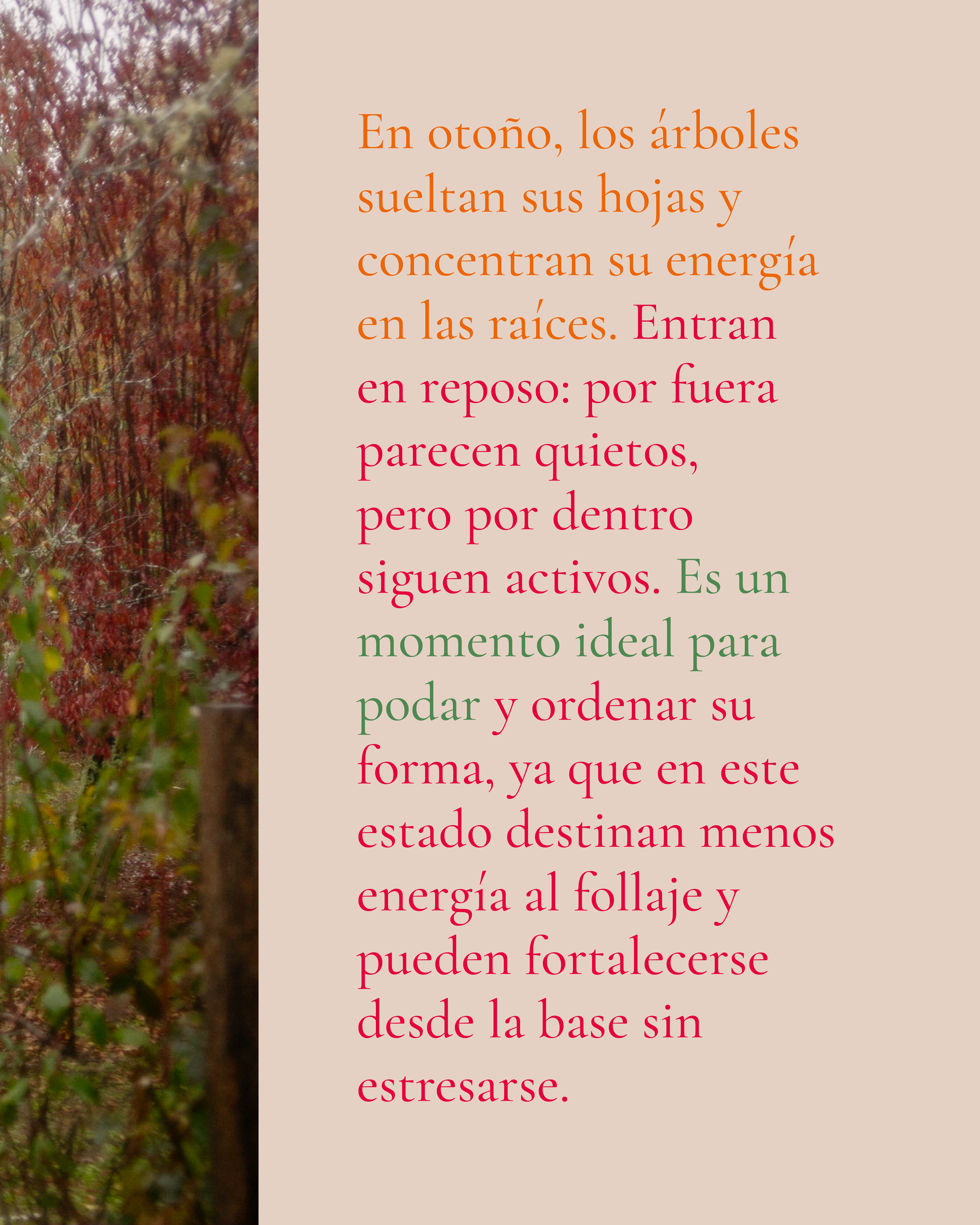 MH-GRAFICA-poda2.png