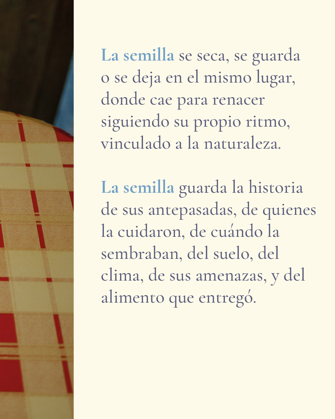 MH Post La Semilla4.png