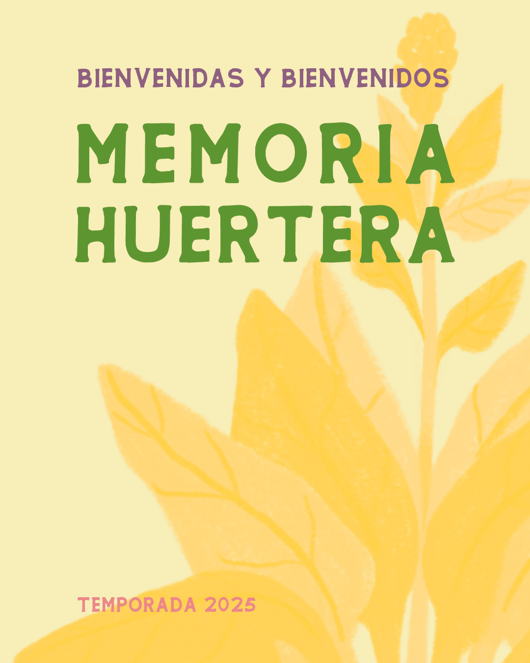 MH-GRAFICA-Mandi.png