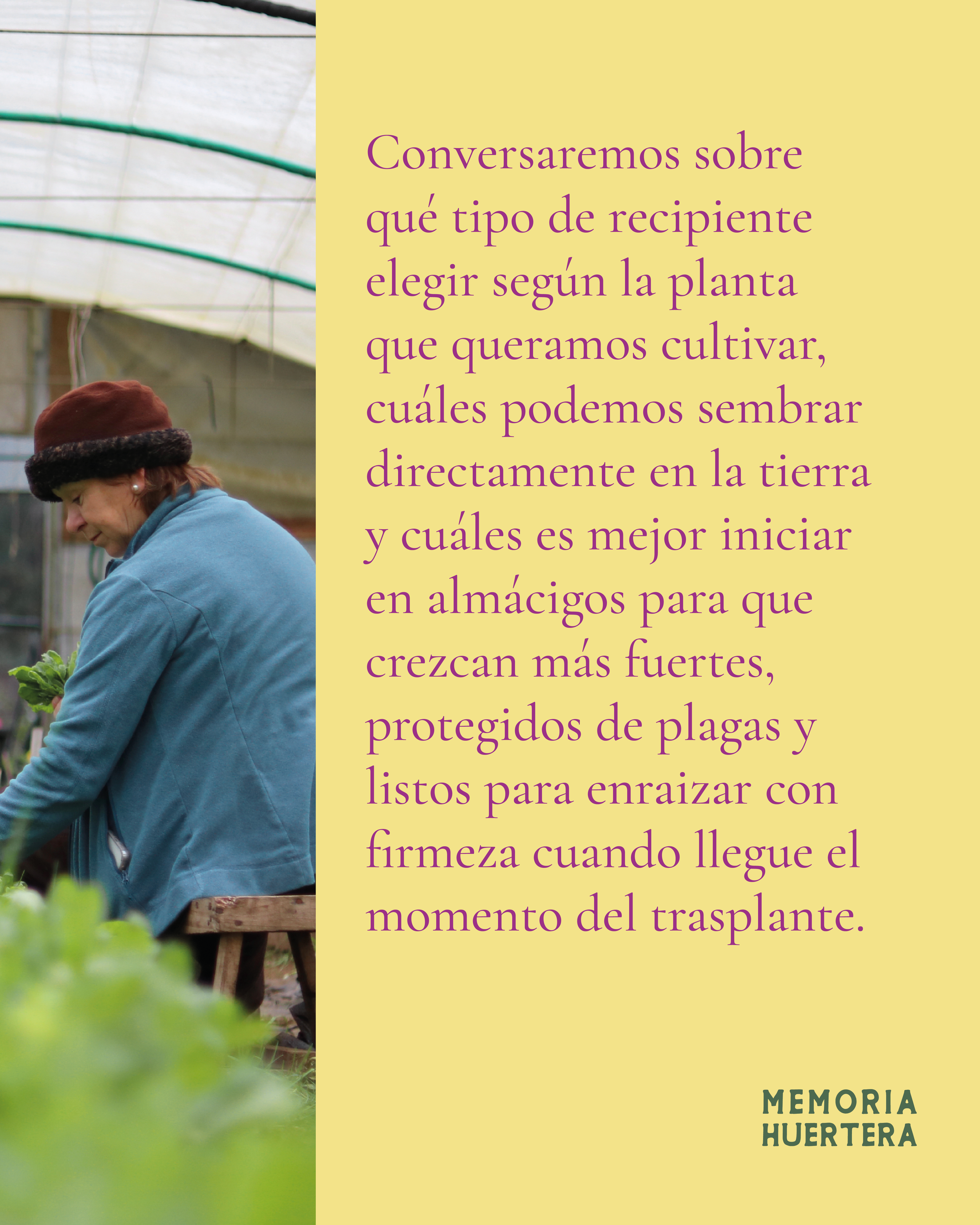 MH-GRAFICA4.png
