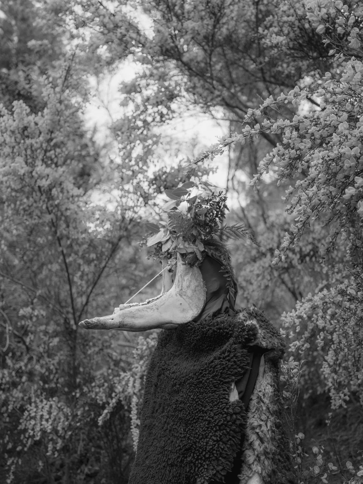 PHOTO-2023-12-08-09-42-02 2.jpg