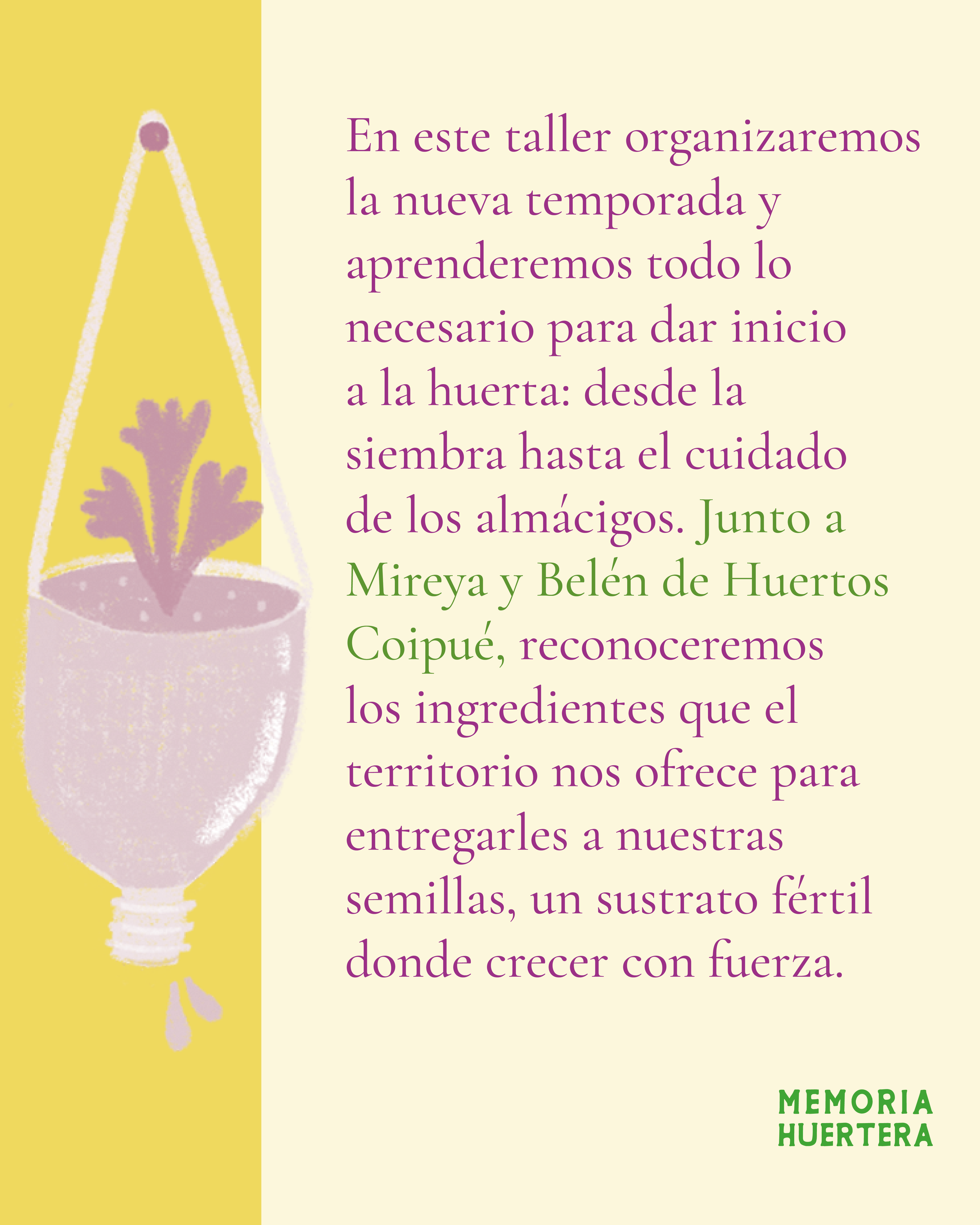 MH-GRAFICA2.png
