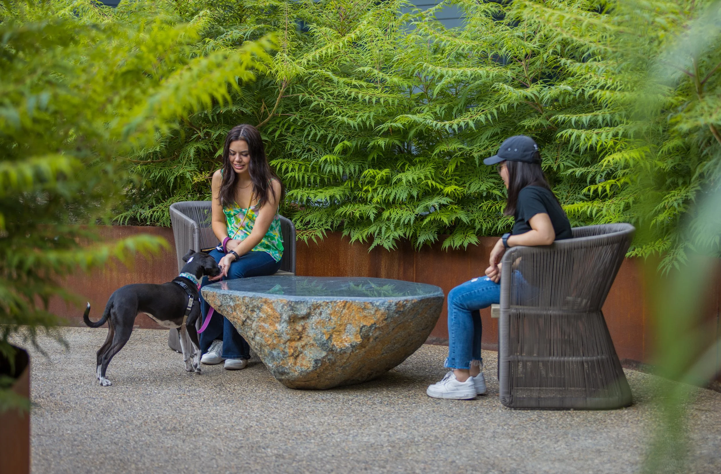 COMMERCIAL LANDSCAPE 3.jpg