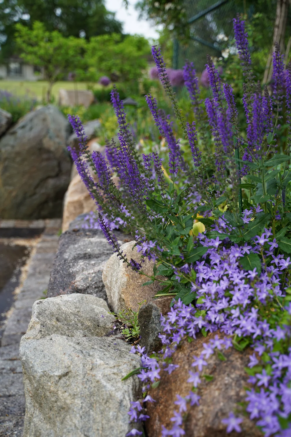 flora — aguafina gardens international