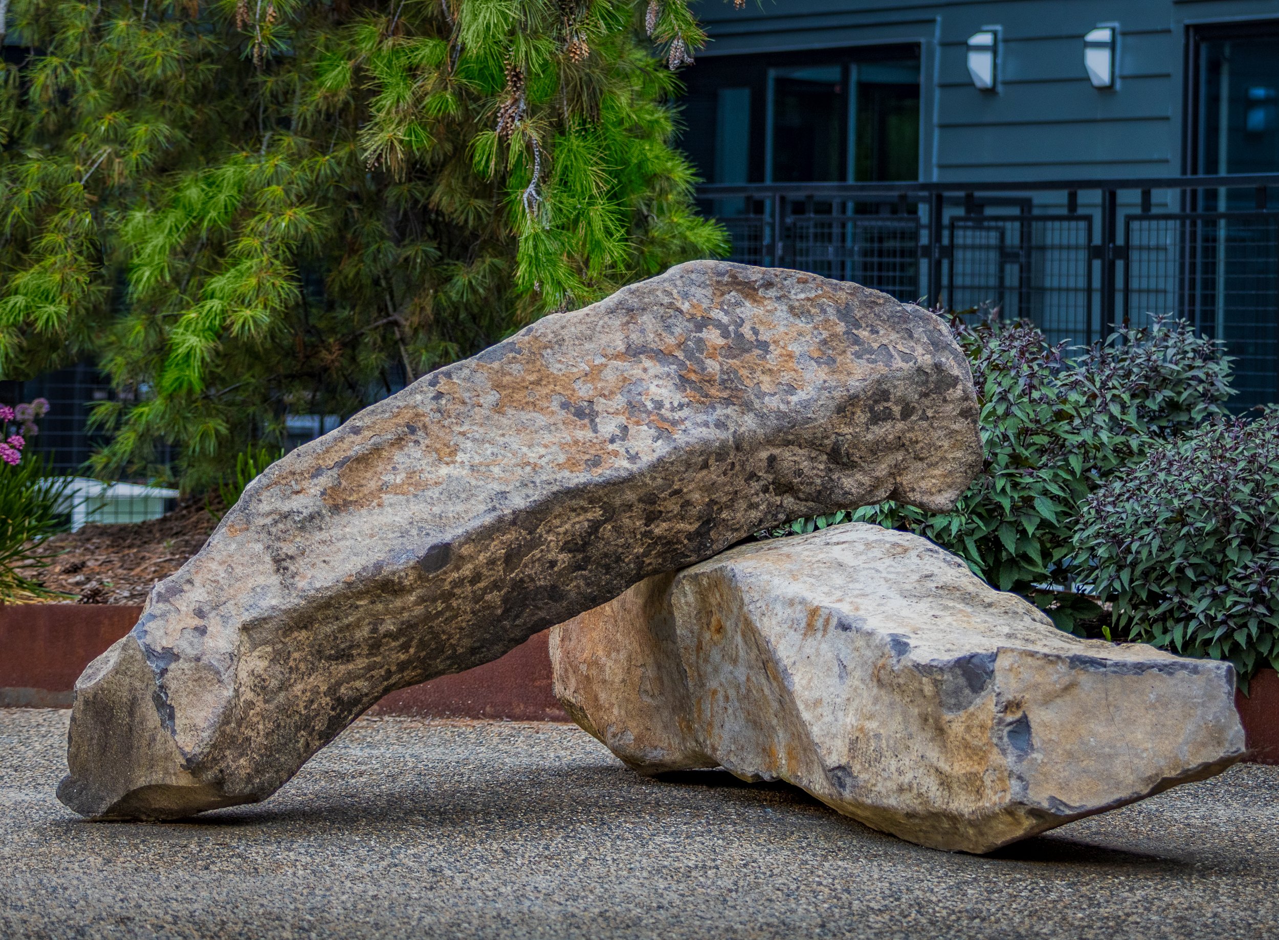 COMMERCIAL LANDSCAPE 6.jpg