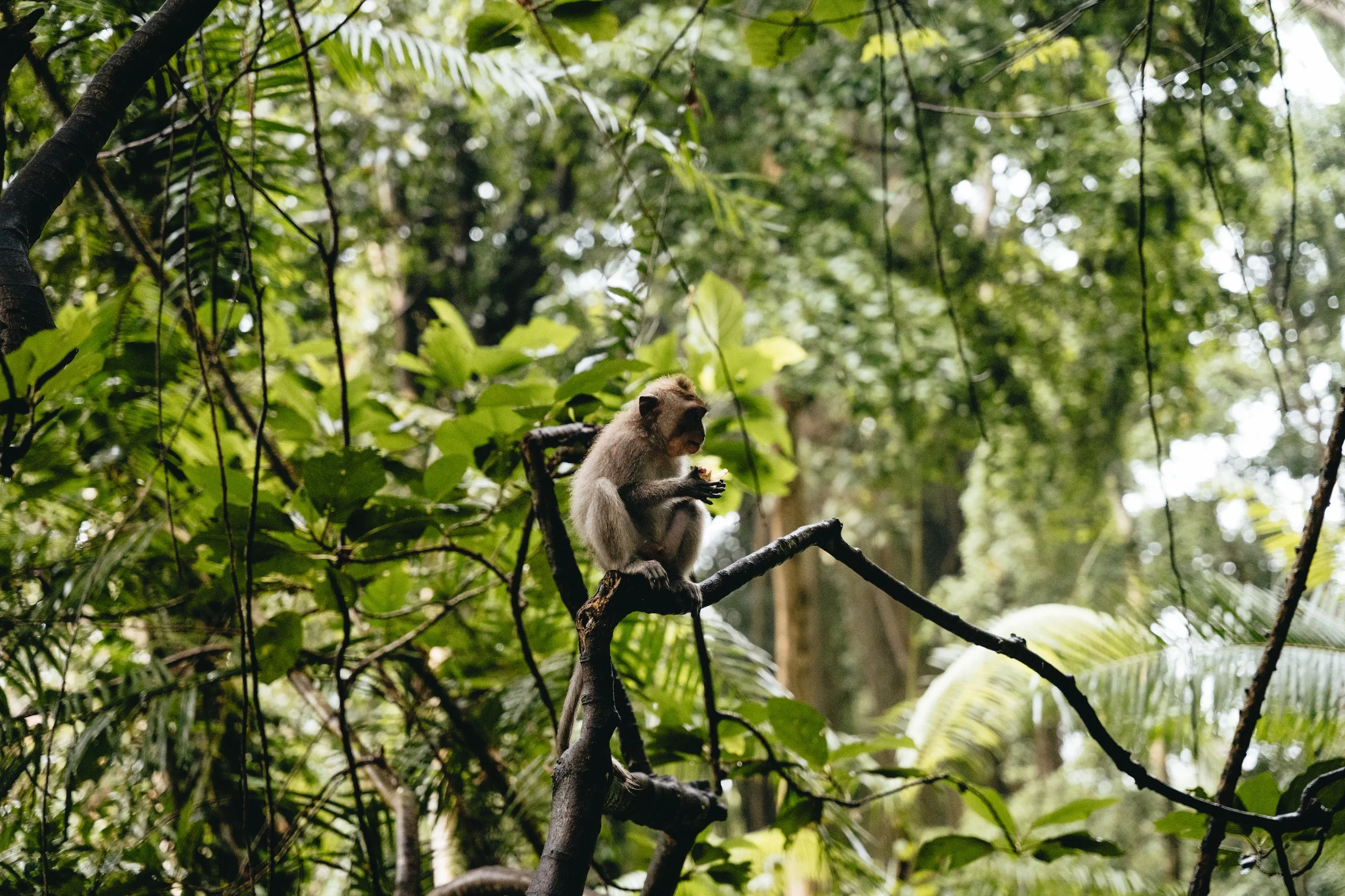240103_Bali-16.jpg