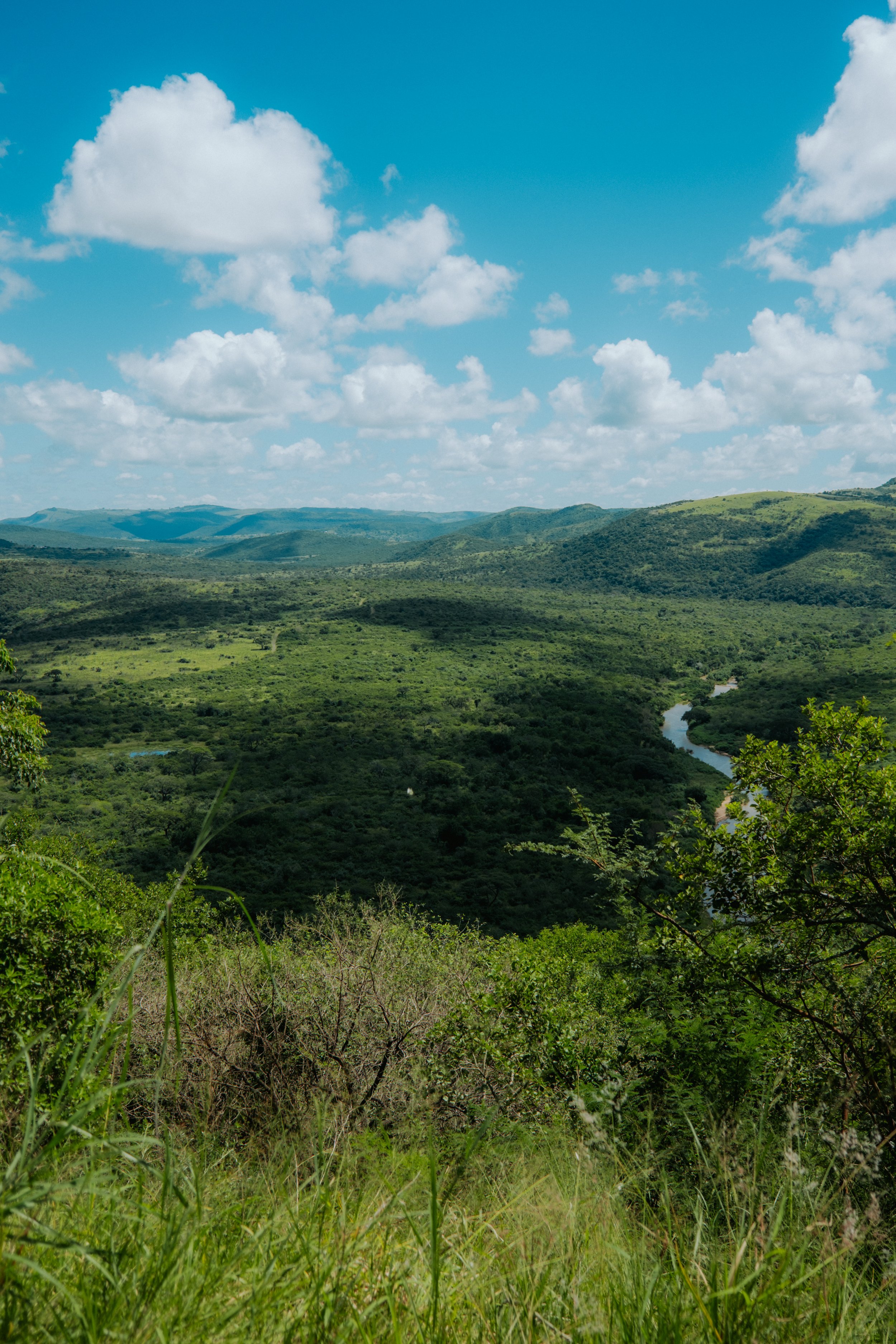 250320_Südafrika_Tag-14-6.jpg
