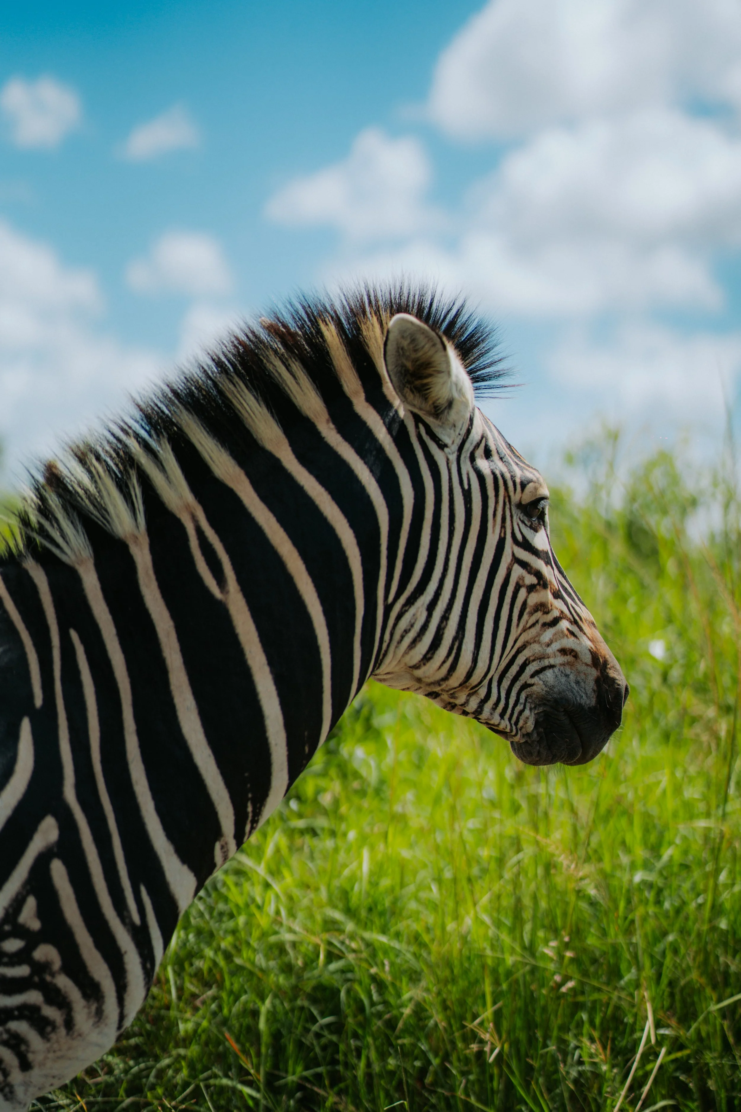 250320_Südafrika_Tag-14-20.jpg