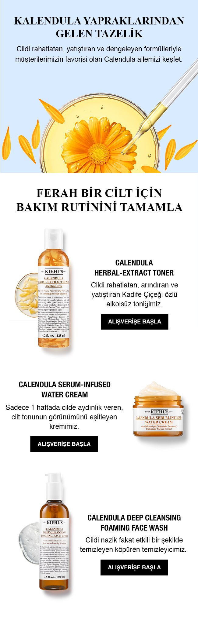 Calendula_Email_1.jpg