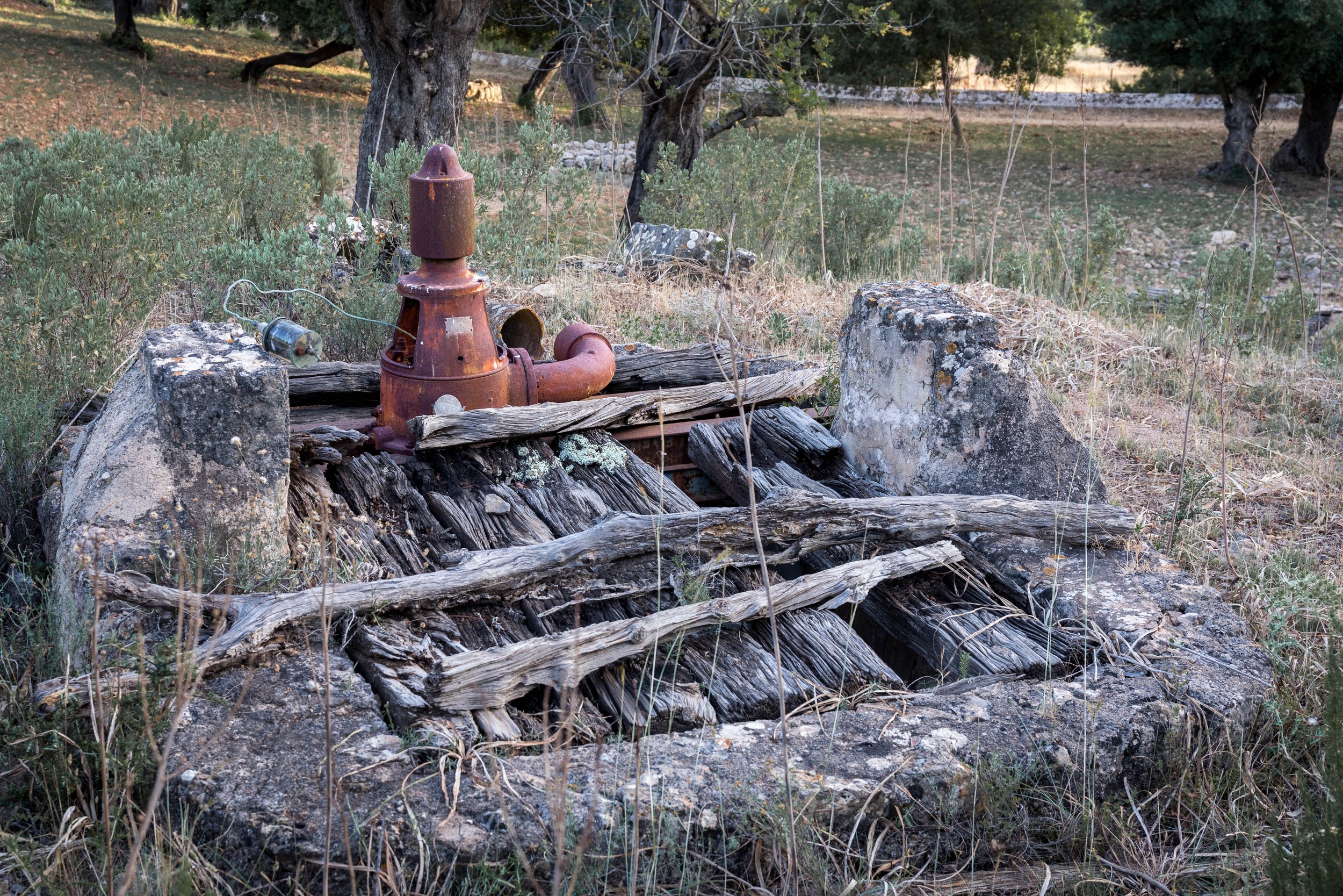 Finca Es Cabàs - Sínia.jpg