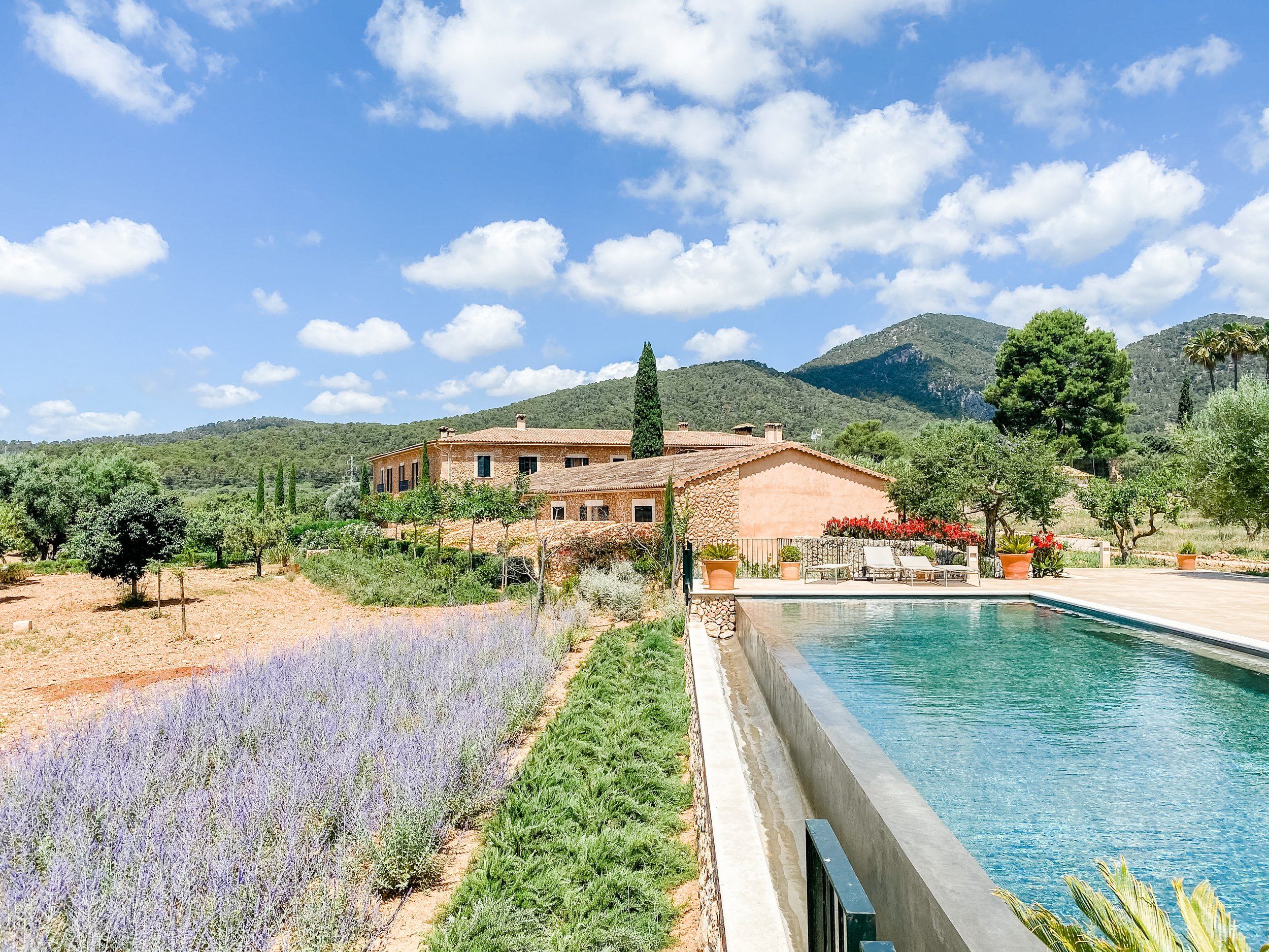 Pool und Lavendel-Suiten.jpg