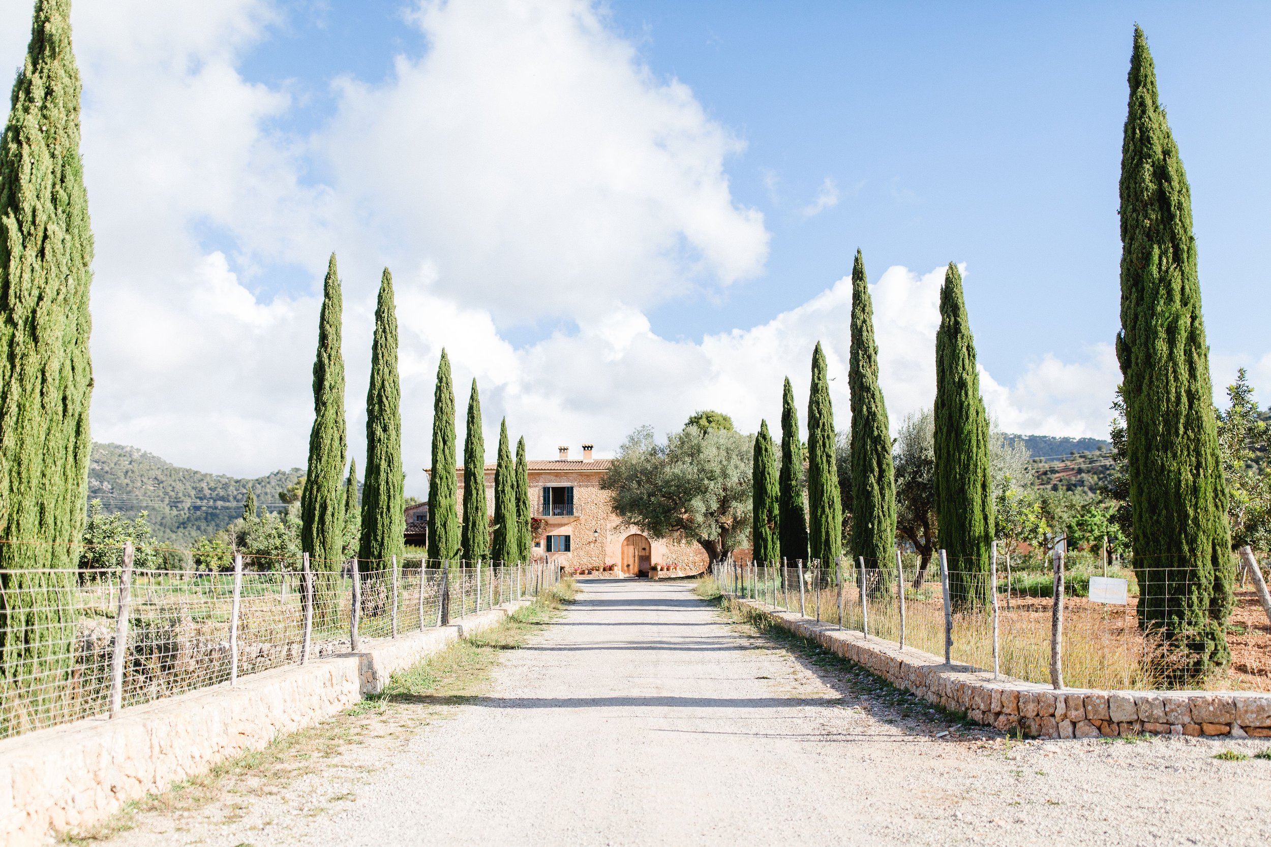 Camí ENtrada.jpg