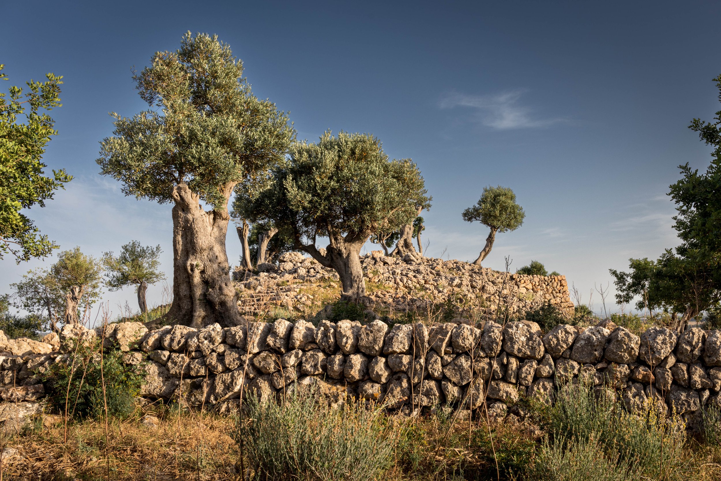 Monumento talayótico 'Es Claper des Doblers', ubicado en Finca Es Cabàs.